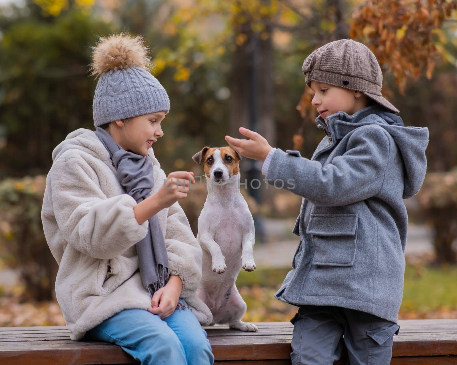 Brother and sister sit in an embrace with a dog on a bench for a walk in the autumn park. Boy, girl and jack russell terrier. by mrwed54