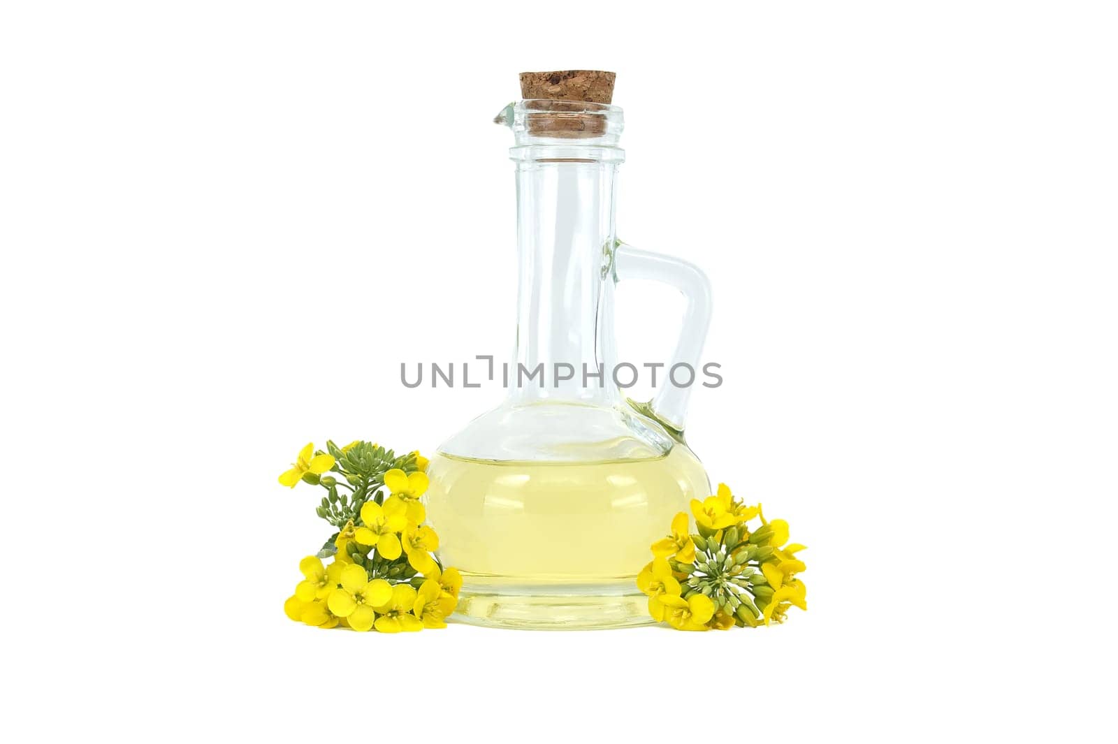 Glass jug with a handle, brimming with rapeseed or canola oil and sealed with a cork, stands beside vibrant yellow oilseed rape blossoms, set against an isolated white background