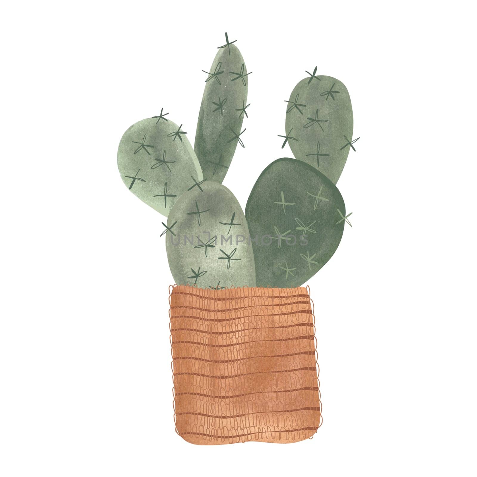 Cactus in a wicker basket. Plants for the home. Floriculture. Interior decoration. Isolated watercolor illustration on white background. Clipart