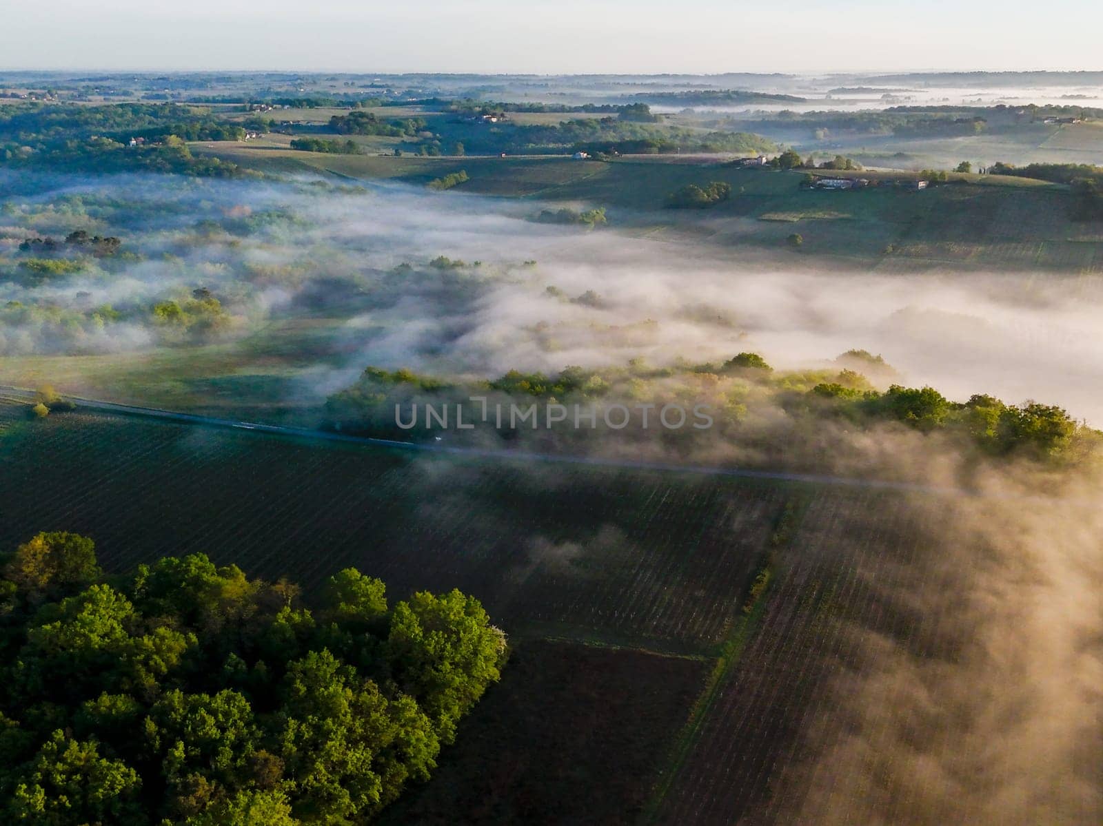 Aerial view of Bordeaux vineyard at sunrise spring under fog, Rions, Gironde, France by FreeProd