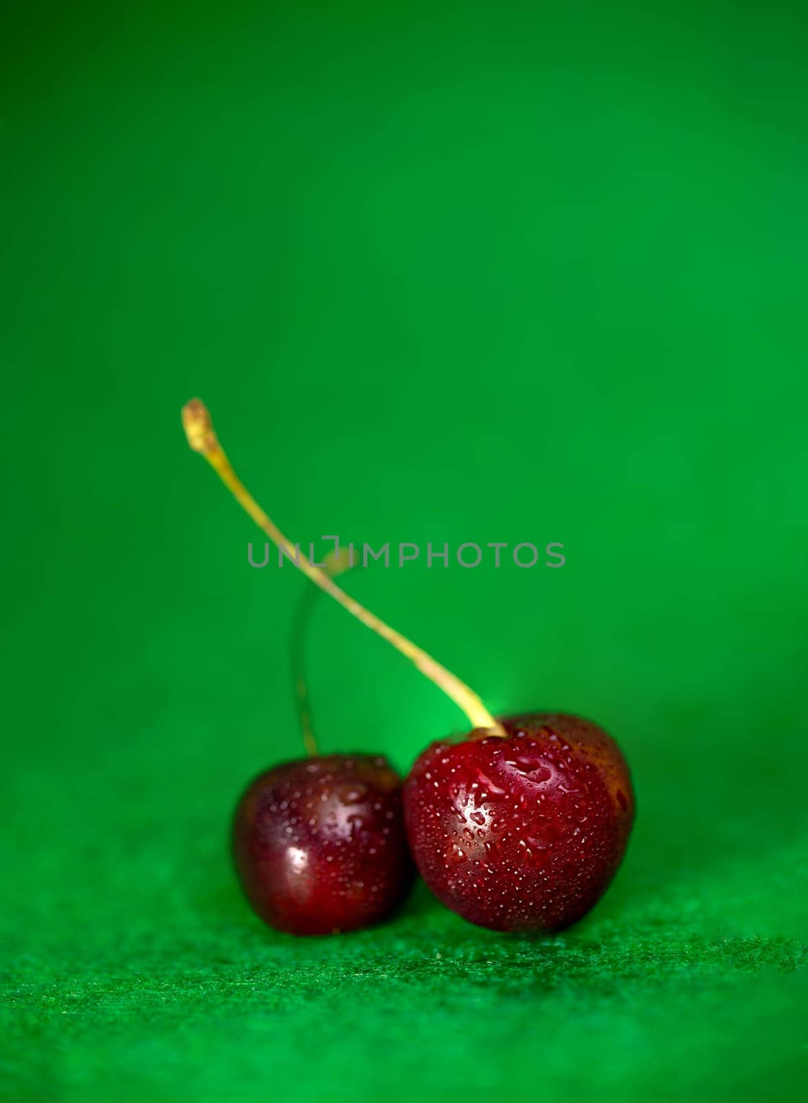 ripe red cherry on a green background. by Pukhovskiy