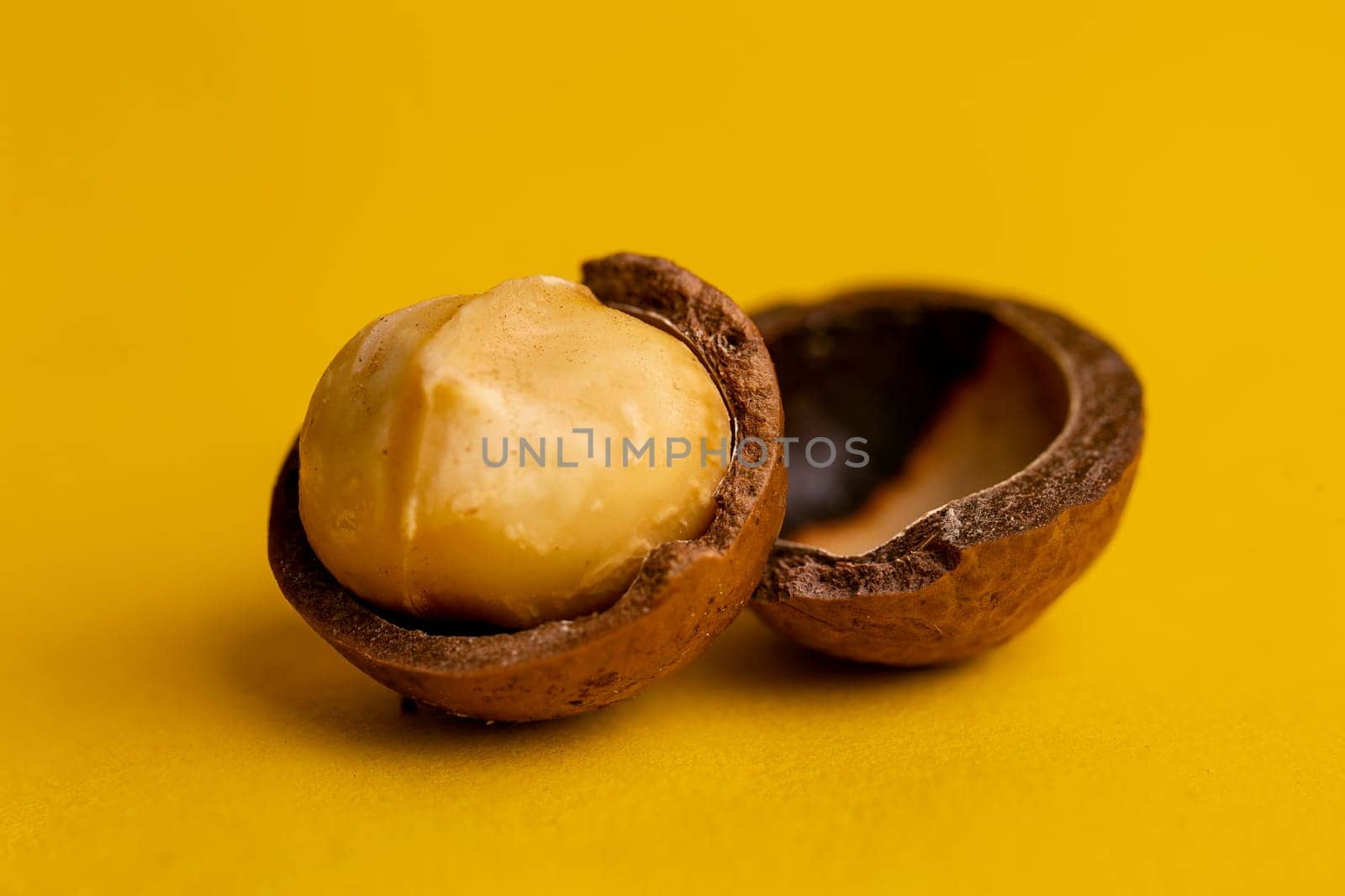 macadamia nut kernel and shell on a yellow background by Pukhovskiy