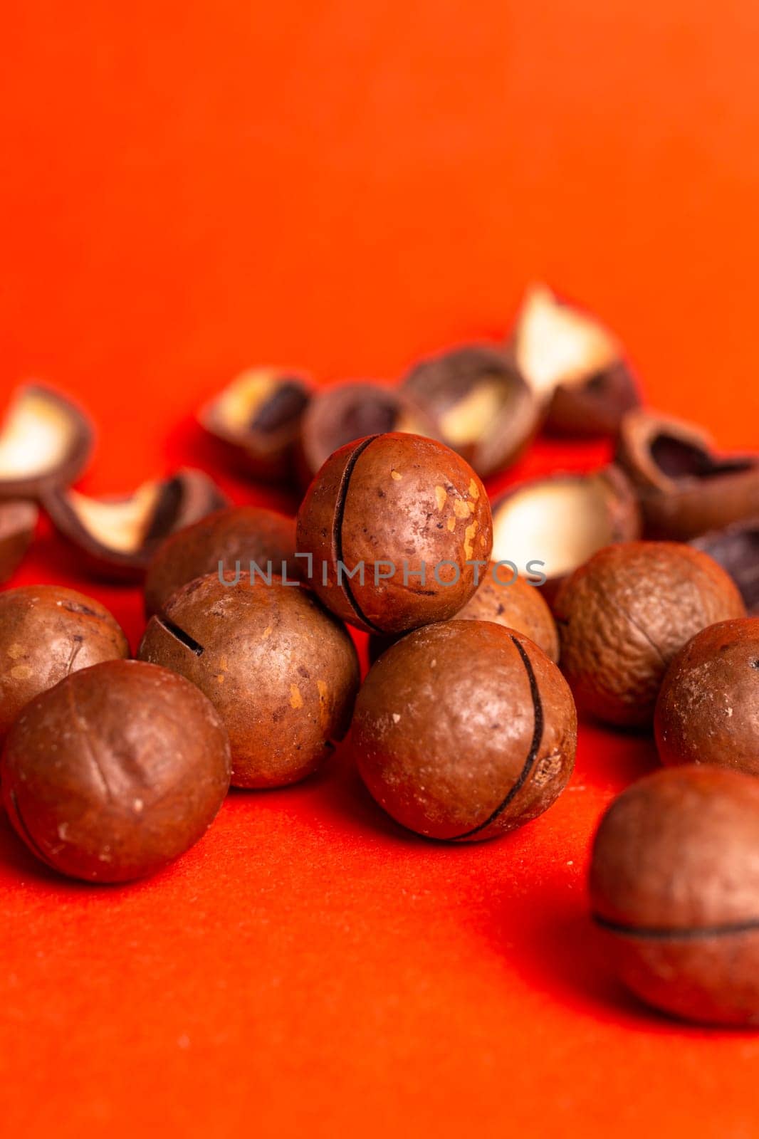 macadamia nut close-up on a red background.