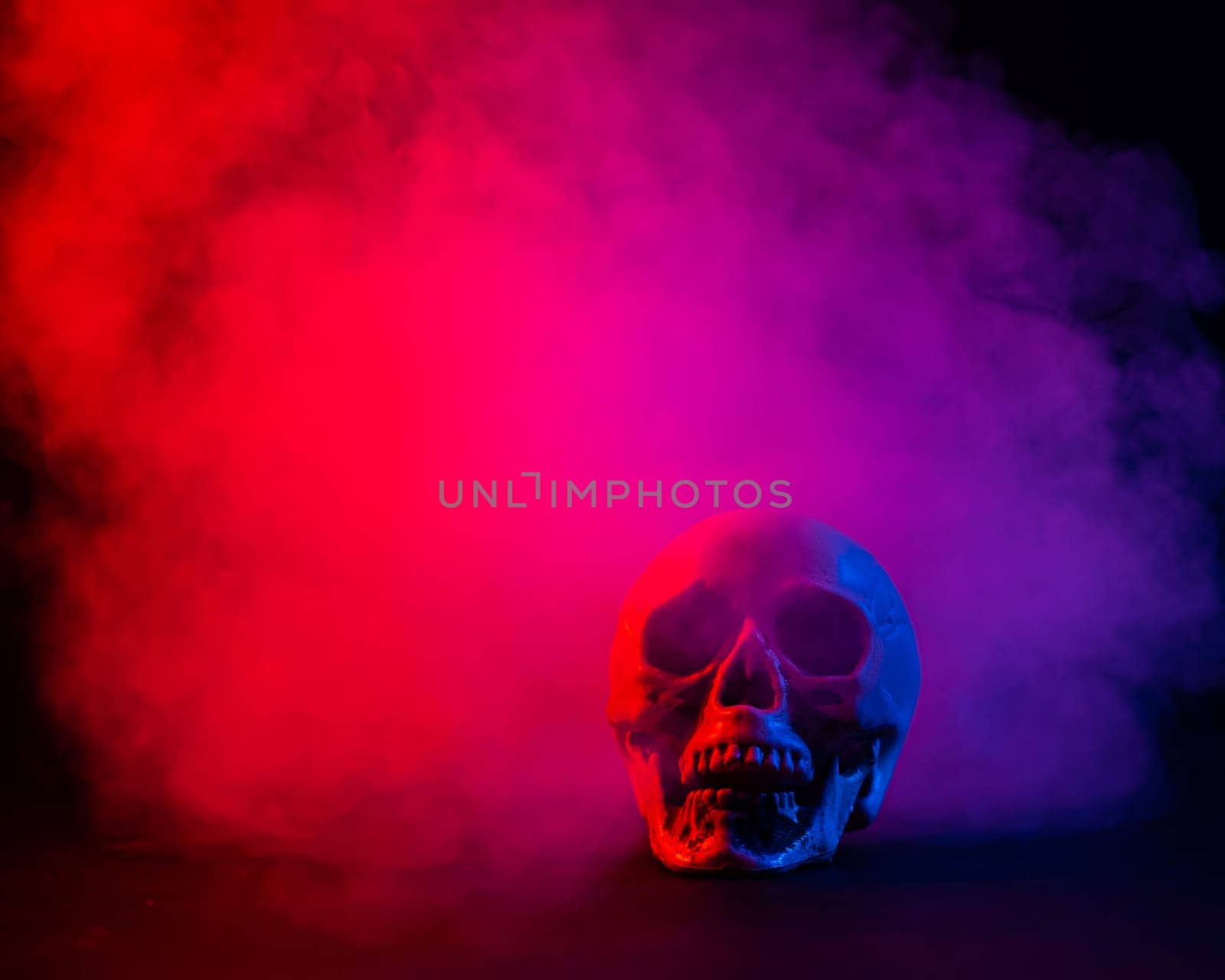 Human skull in pink and blue smoke on a black background. Halloween. by mrwed54