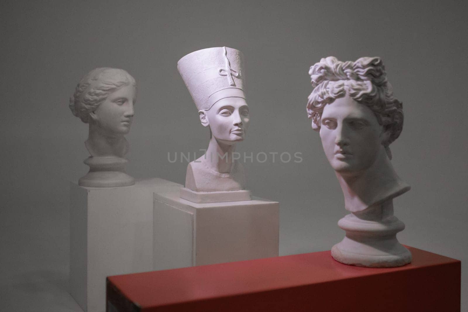 White plaster head sculptures of various ancient civilizations displayed against a vibrant colored background.