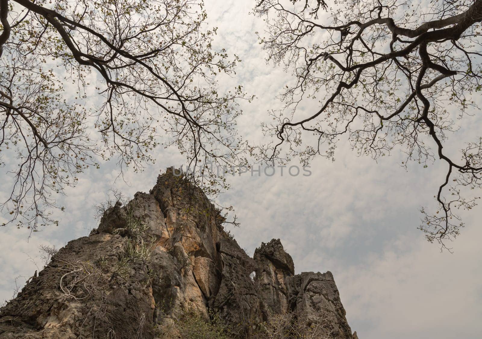 Beautiful scenery view of Mountain rock cliff and Tree Branches against sky background at Khao Nang Phanthurat Forest Park. Natural background, Space for text, Selective focus.