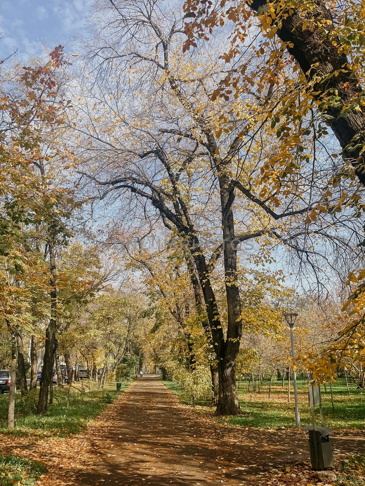 Landscaped park path with fallen autumn leaves and a clear blue sky by Pukhovskiy