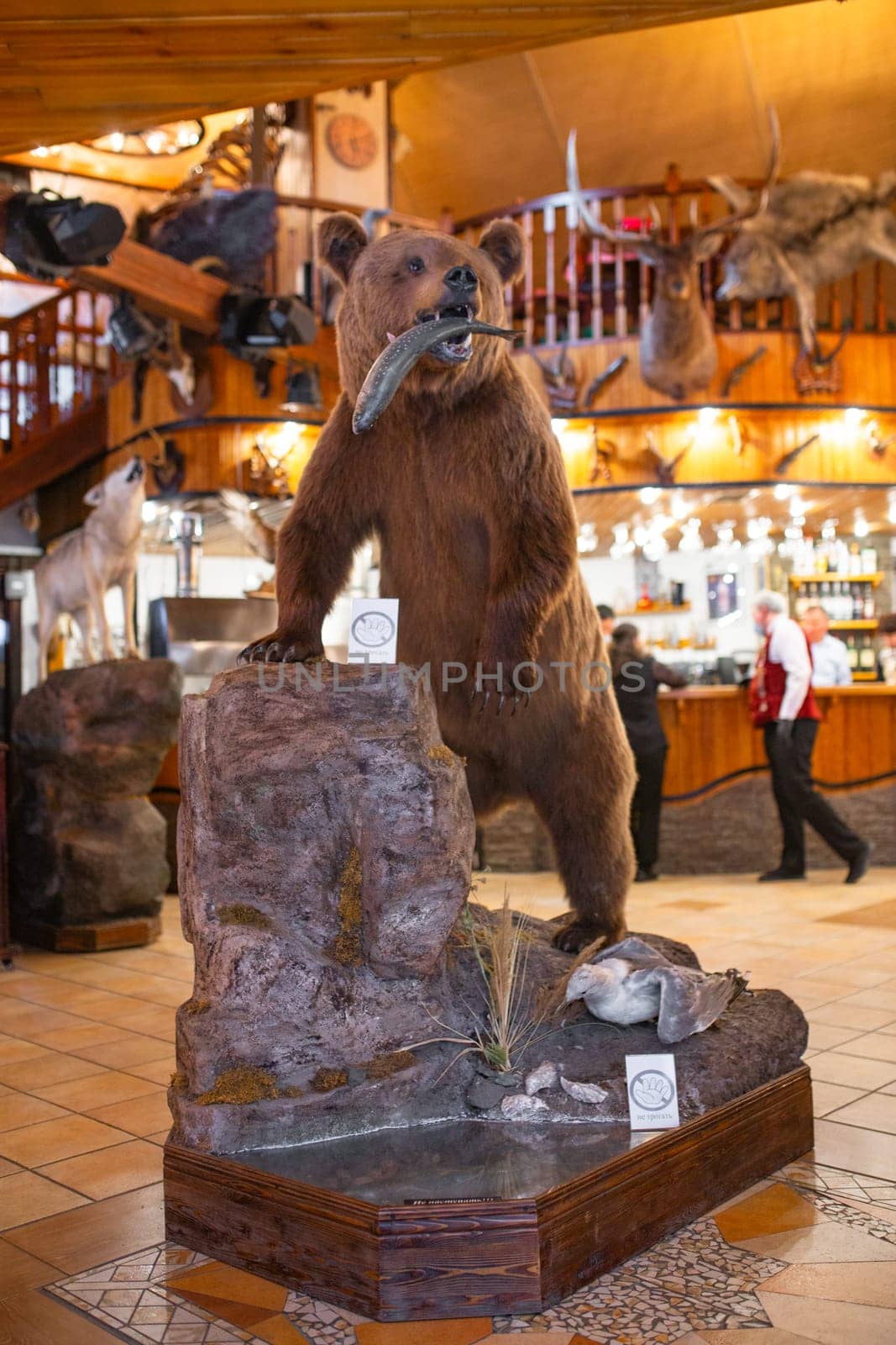 Stuffed brown bear with fish in mouth in cozy lodge with wood walls and fireplace. by Pukhovskiy