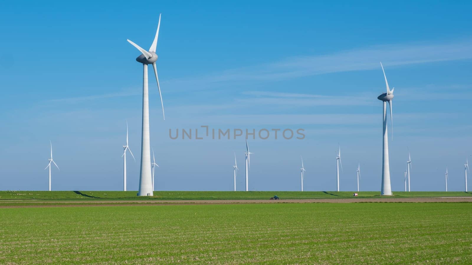 A vast field of lush green grass stretches out in the foreground, while a group of towering windmills spin gracefully in the distance against the clear sky of Flevoland, Netherlands.