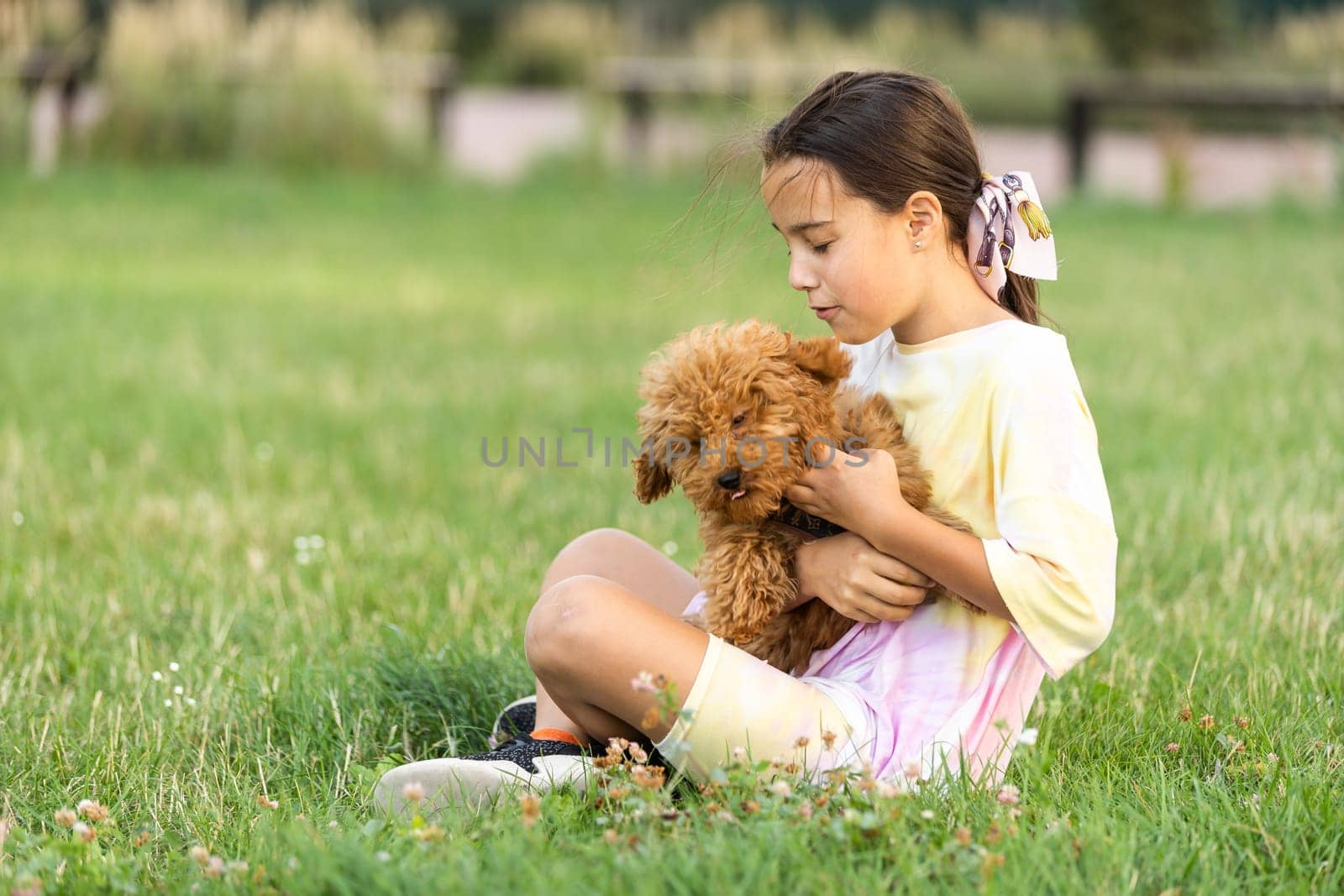 a little girl playing with her maltipoo dog a maltese-poodle breed by Andelov13