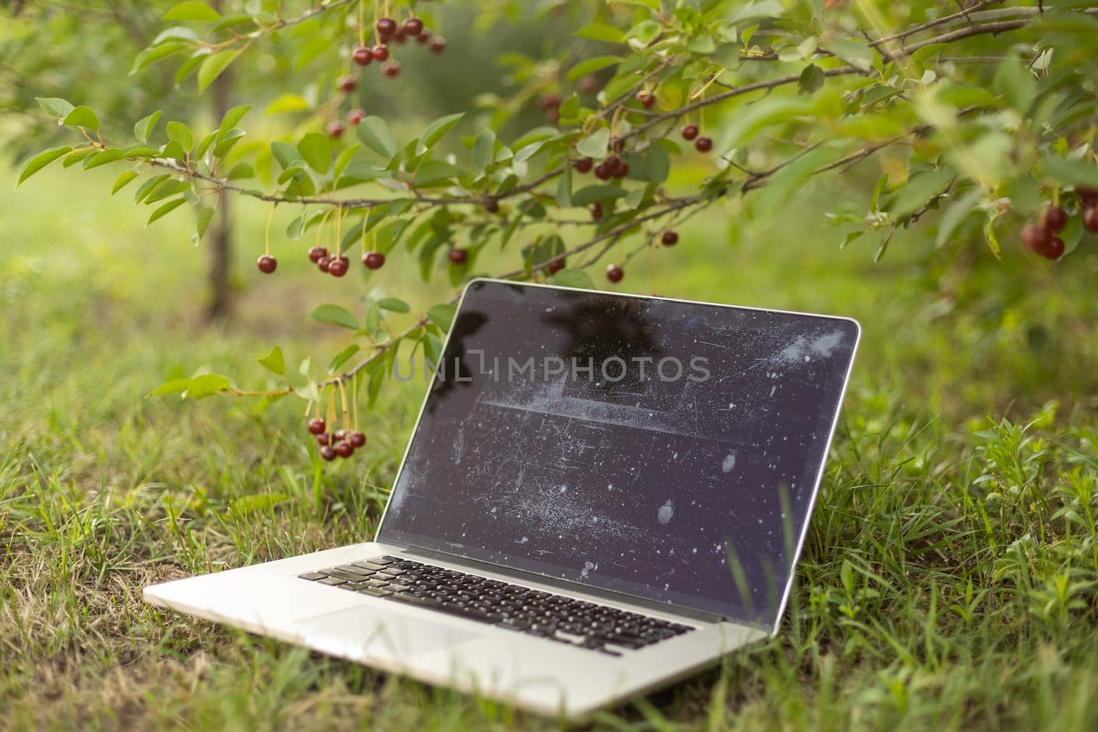 Laptop on green grass in park. Working outdoor.