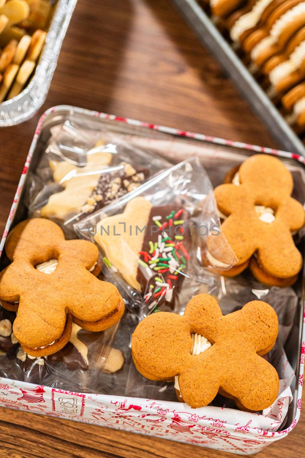 Denver, Colorado, USA-December 6, 2023-Lovingly homemade gingerbread and sugar cookies, half-dipped in rich chocolate, nestled in decorative Christmas tin boxes perfect for seasonal gifting.