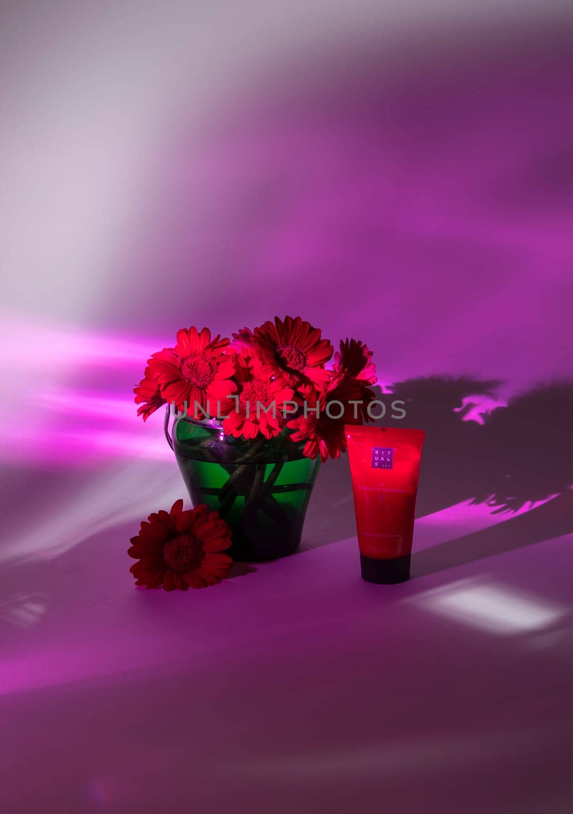 ritual shampou, bright red gerberas in green vase in the multi colored rays,As, Belgium, March 23 2021 by KaterinaDalemans