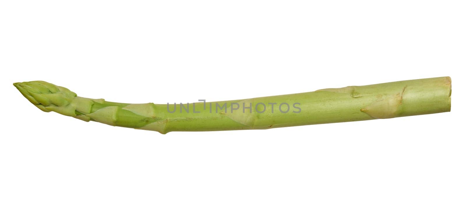Green raw asparagus stalk on isolated background by ndanko