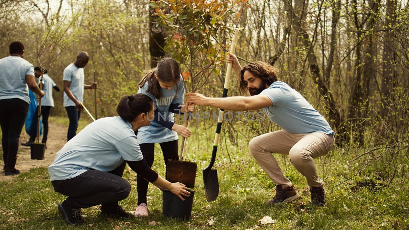 Team of volunteers planting trees around forest area for nature preservation by DCStudio