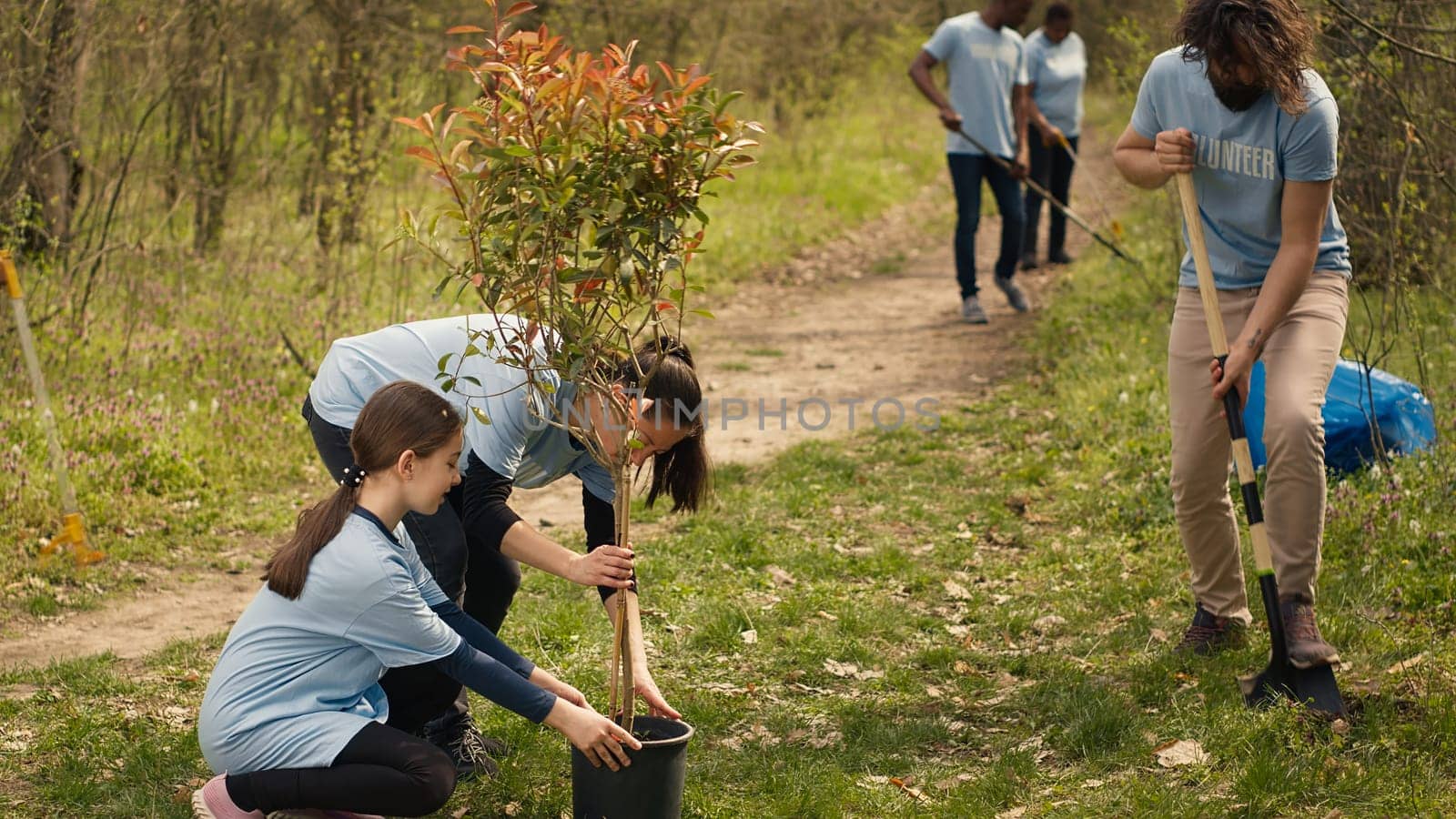 Team of volunteers growing the natural habitat in a forest, planting trees and preserving nature by taking action and fighting to save the planet. Activists doing community service. Camera A.