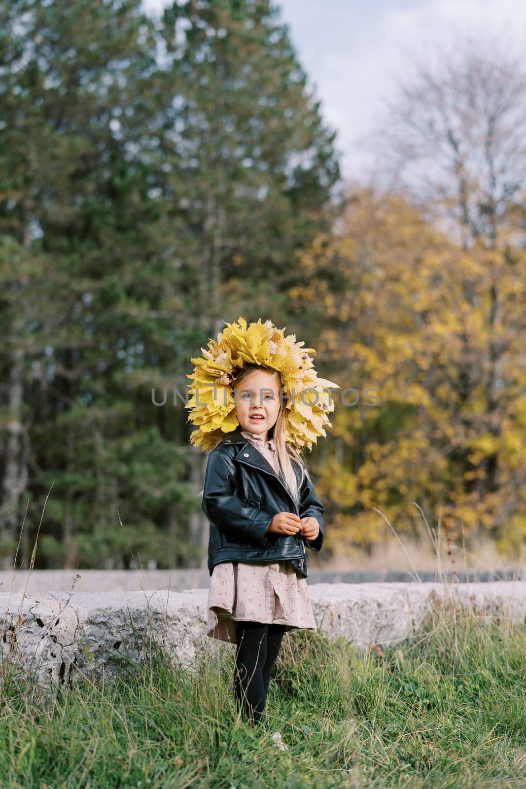 Little girl in a wreath of yellow leaves stands on a green lawn in the park. High quality photo