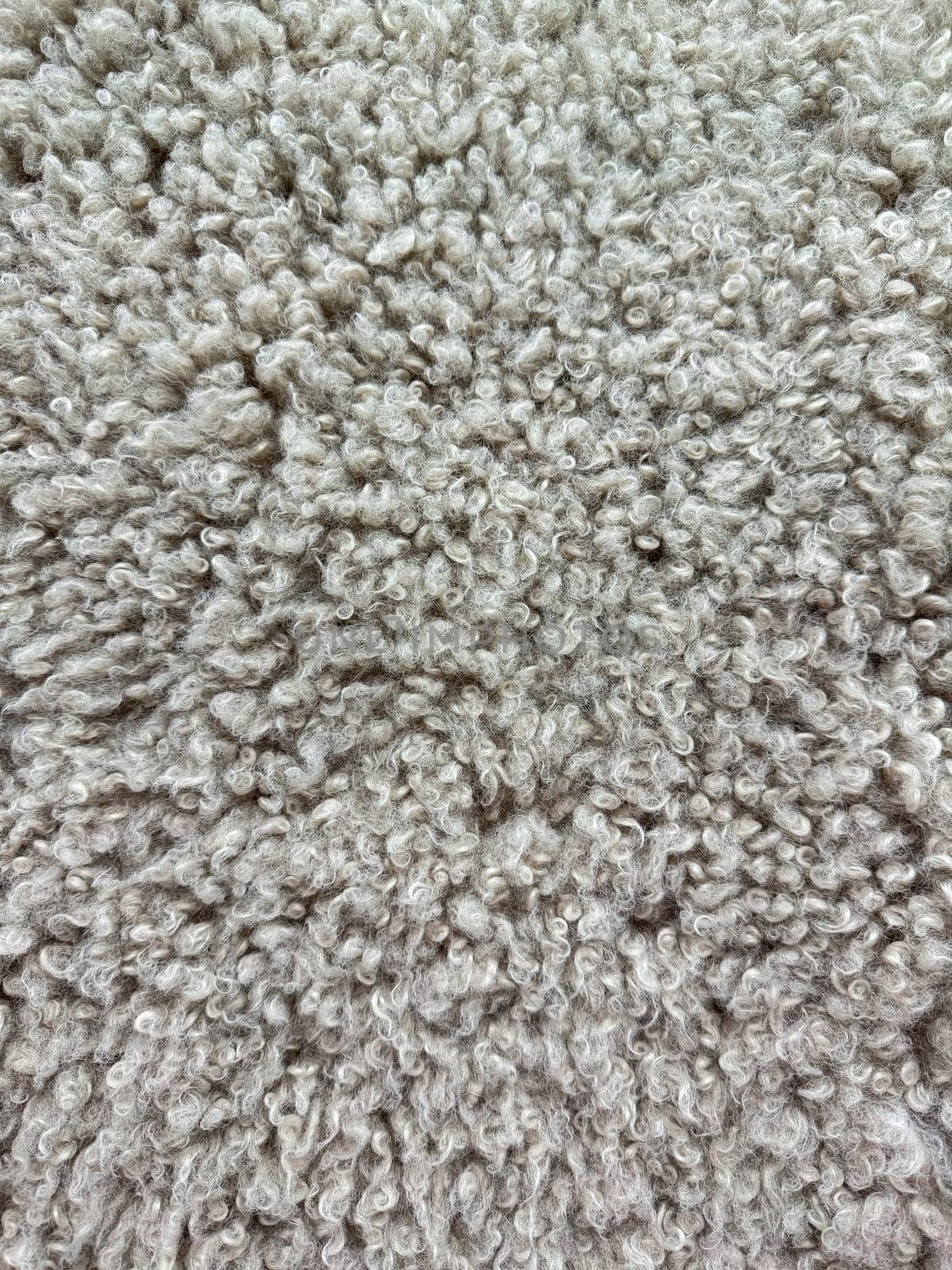 Detailed macro shot of dense, curly grey wool texture with natural fleece patterns for interior design and textiles. High quality photo