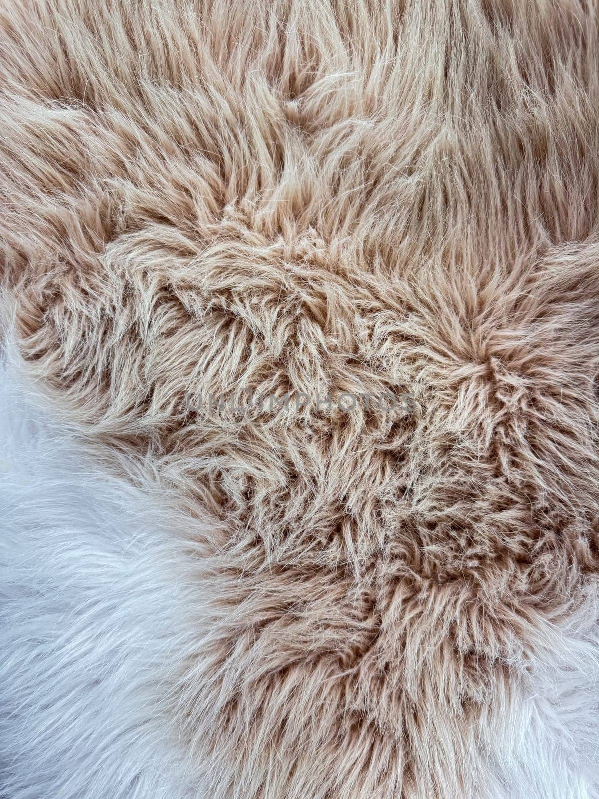 Close up of beige animal fur texture with natural swirl patterns, detailed macro photography for design and print. by Lunnica