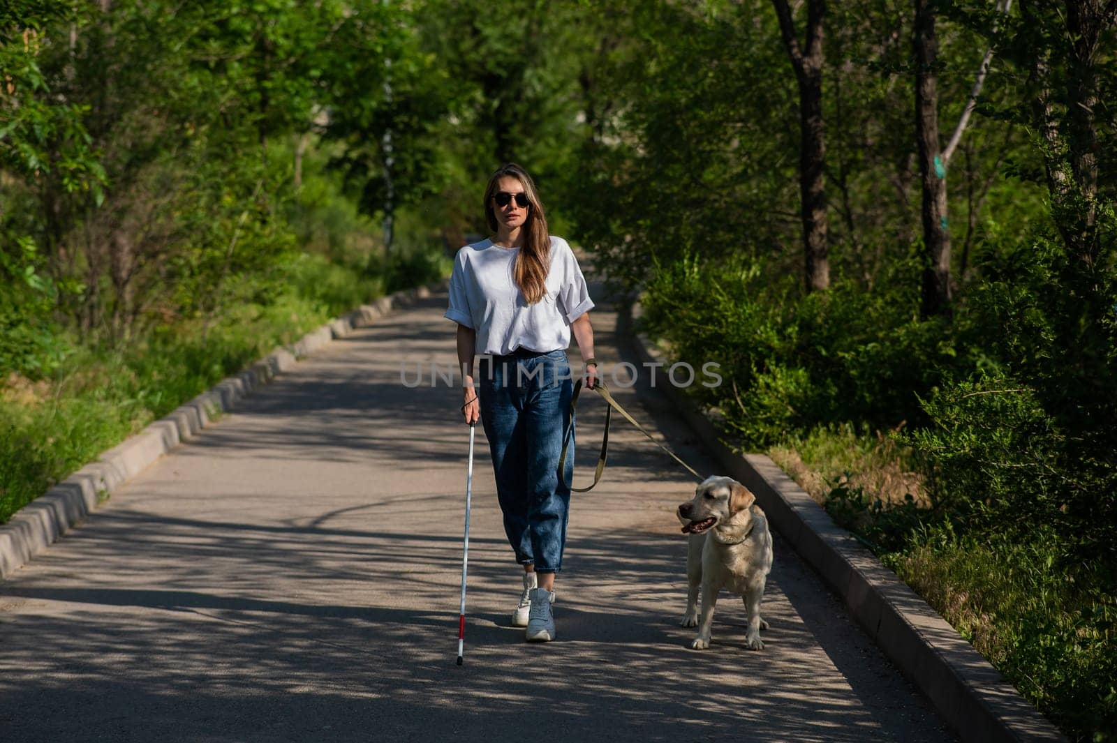 Blind woman walking with guide dog in the park. by mrwed54