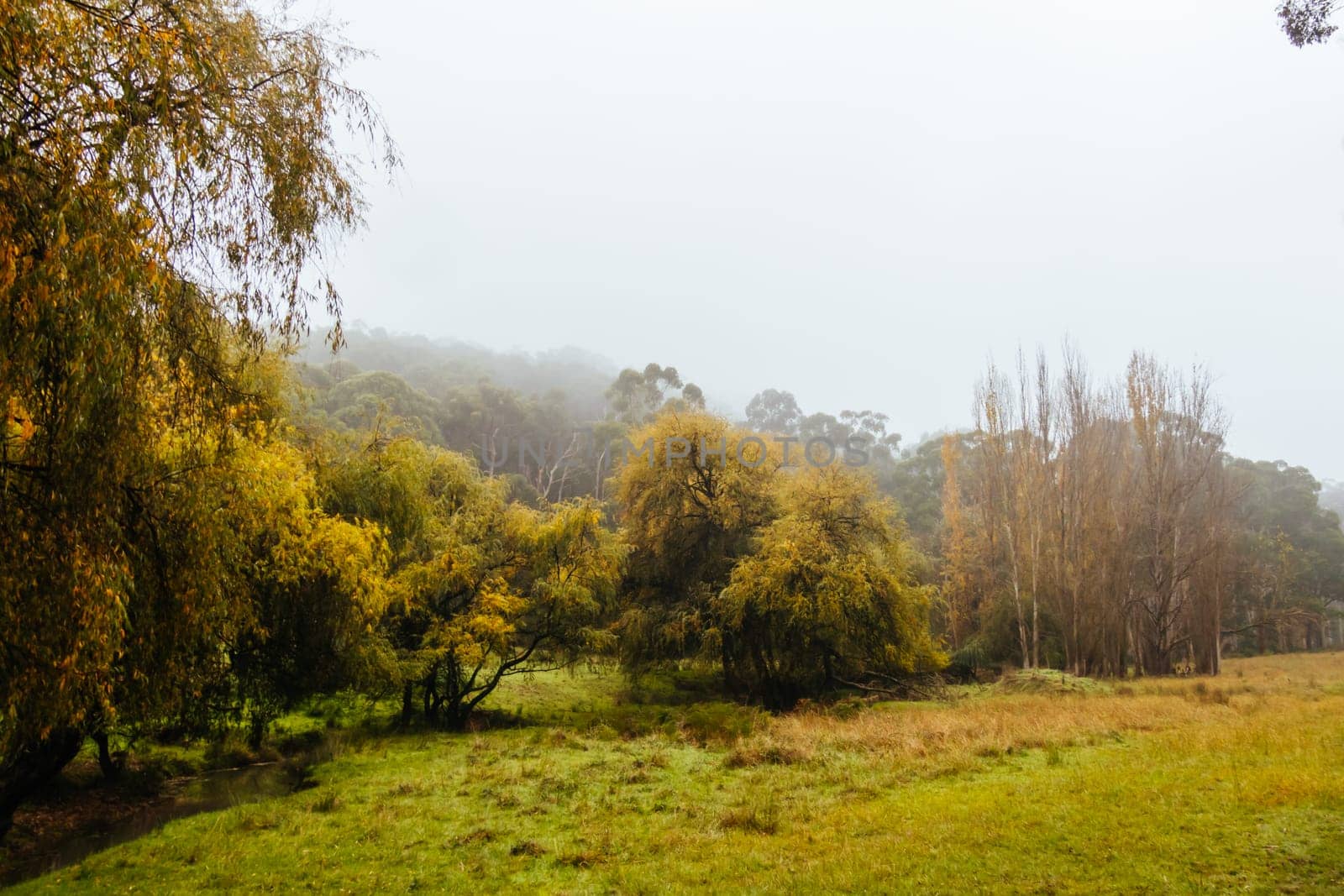 Landscape long the popular Lilydale to Warburton Rail Trail on a cool autumn day in Victoria, Australia