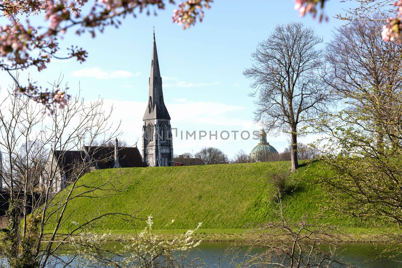 Cherry Blossom in Langelinie park on a beautiful spring day. Sakura festival. Copenhagen, Denmark 