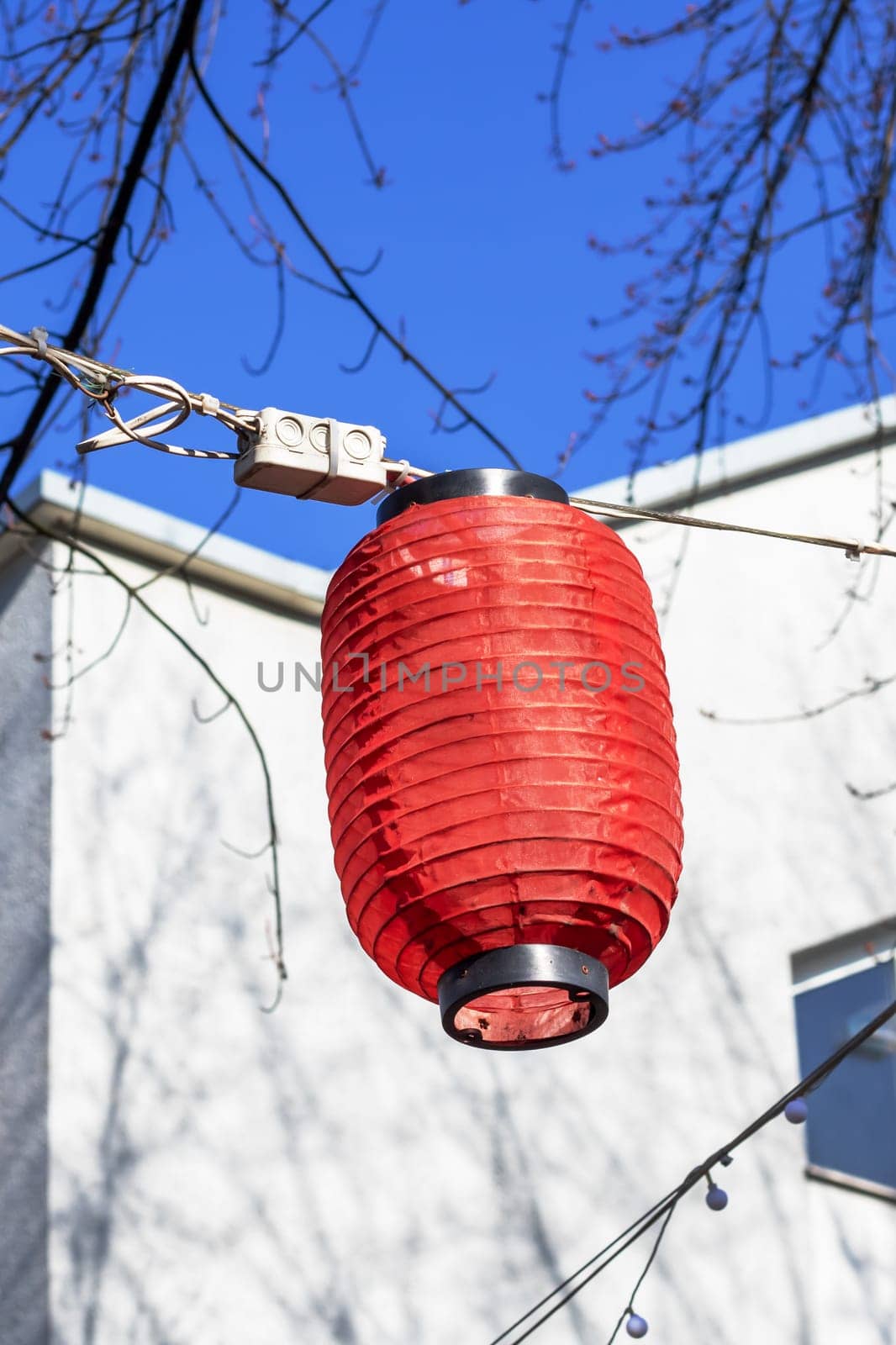 A red lantern hangs from an overhead power line against a freezing electric blue sky, in front of a building with a woody plant and tree branches