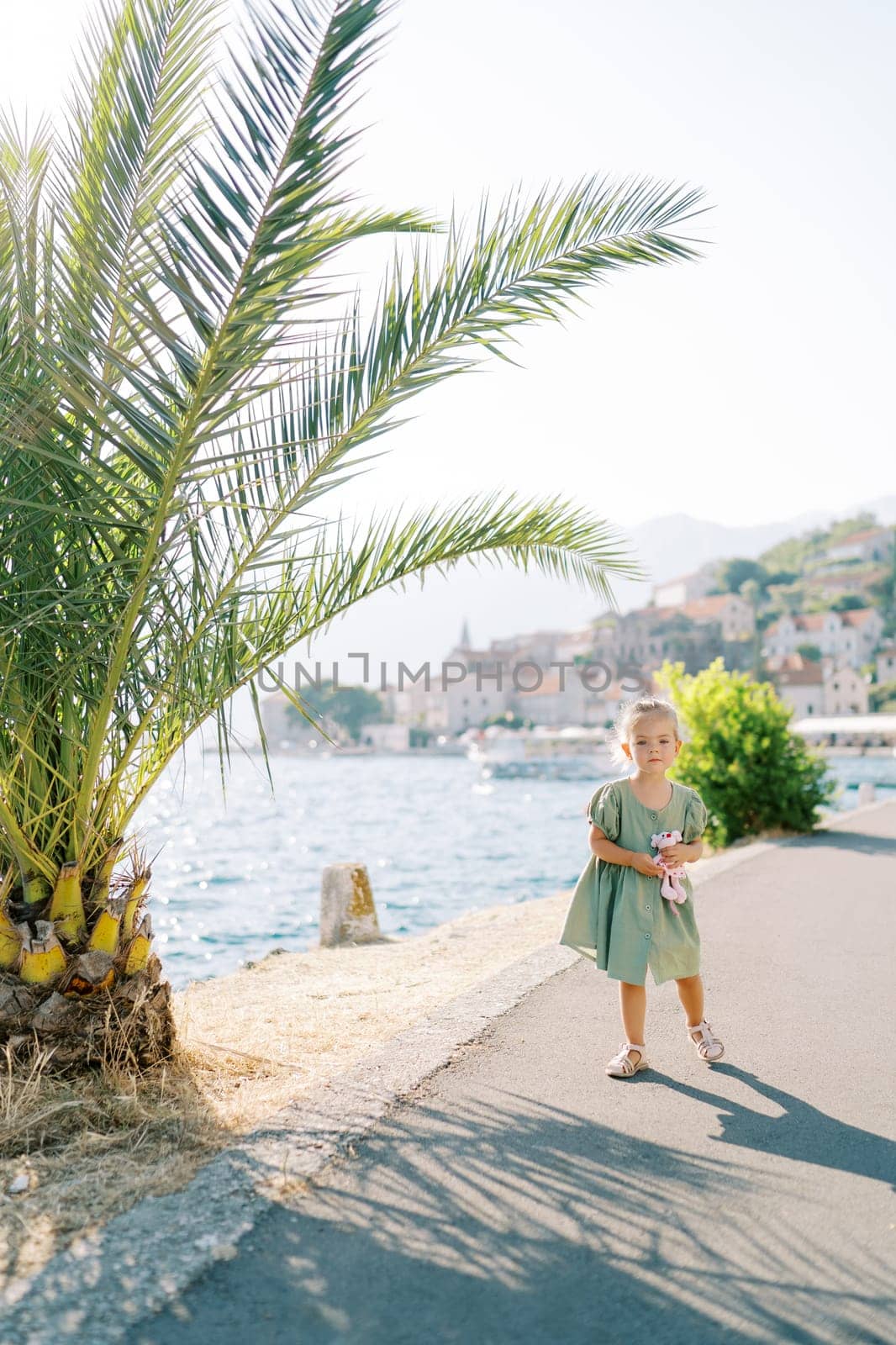 Little girl with a soft toy stands on the embankment near a palm tree. High quality photo