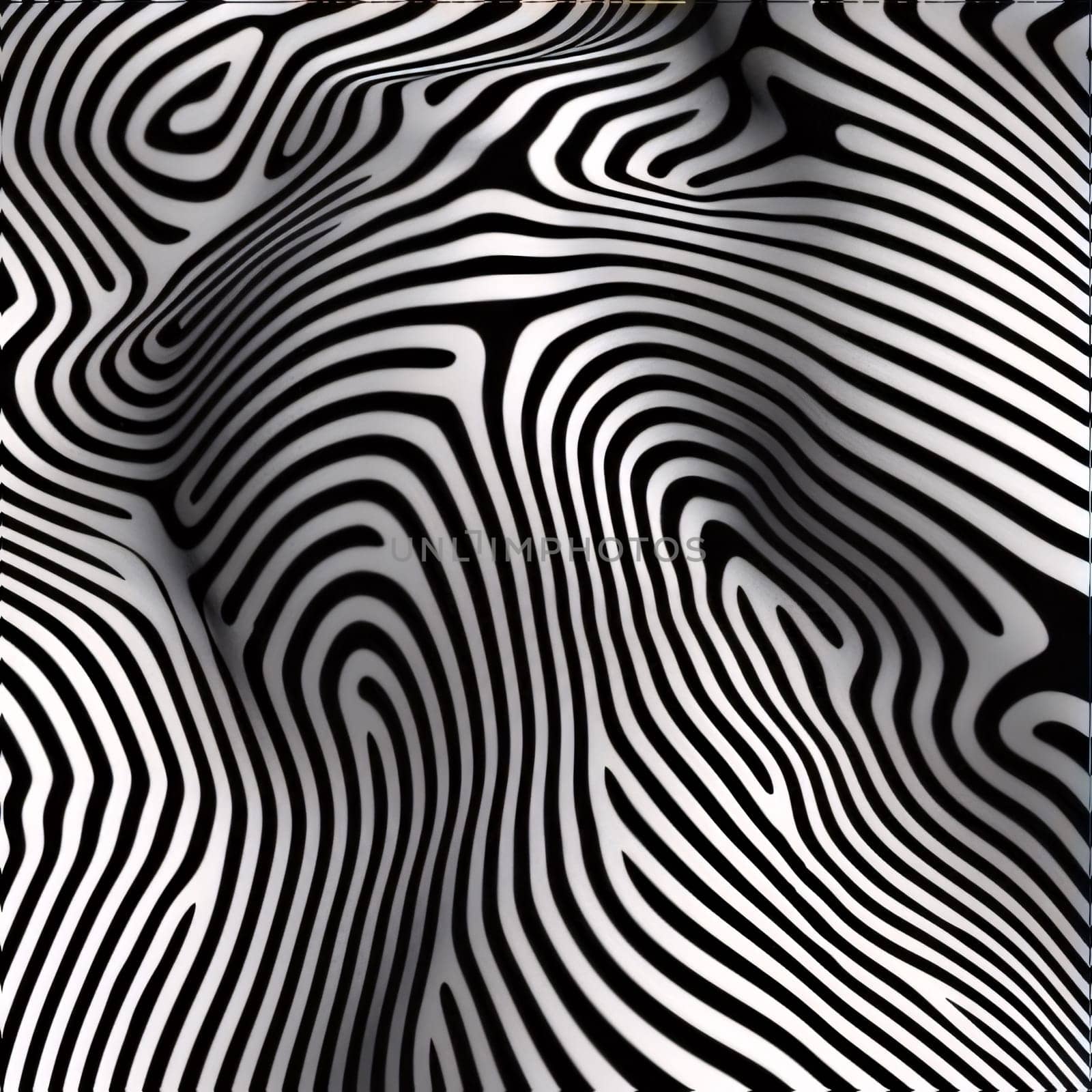 Black and white zebra pattern. Abstract background. Vector illustration. by ThemesS