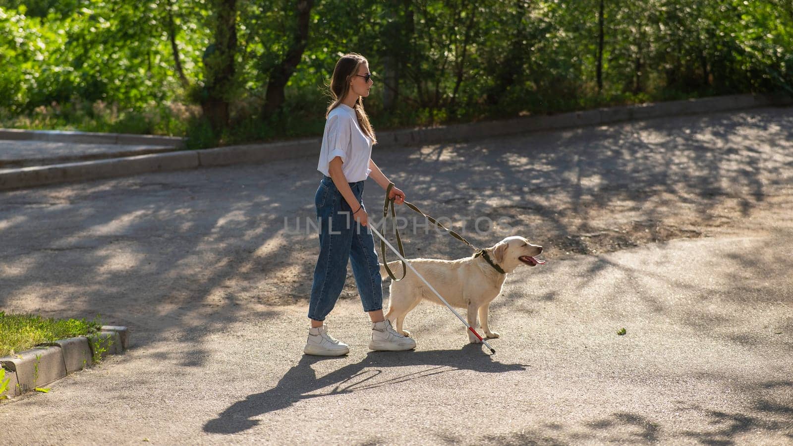 Blind woman walking with guide dog in the park. by mrwed54