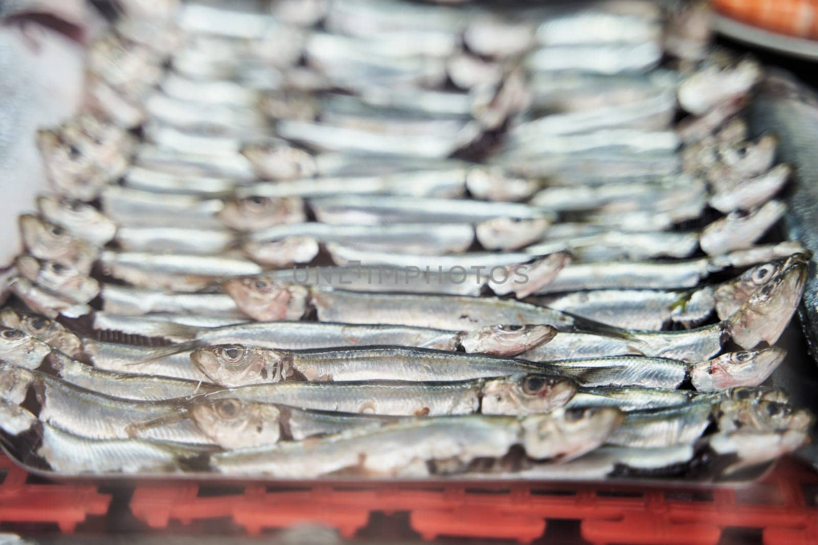 A stack of oily fish is perched on wood and ice. The natural material contrasts with the shiny metal of their fashion accessory scales. The fish are animal products commonly used as staple food
