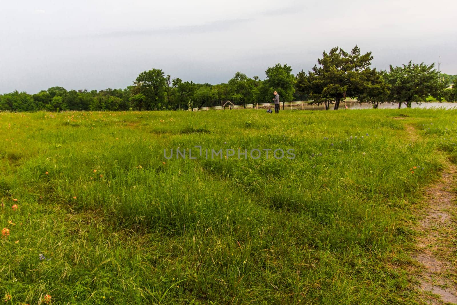 Views at Bluebonnet Park, Ennis, Texas