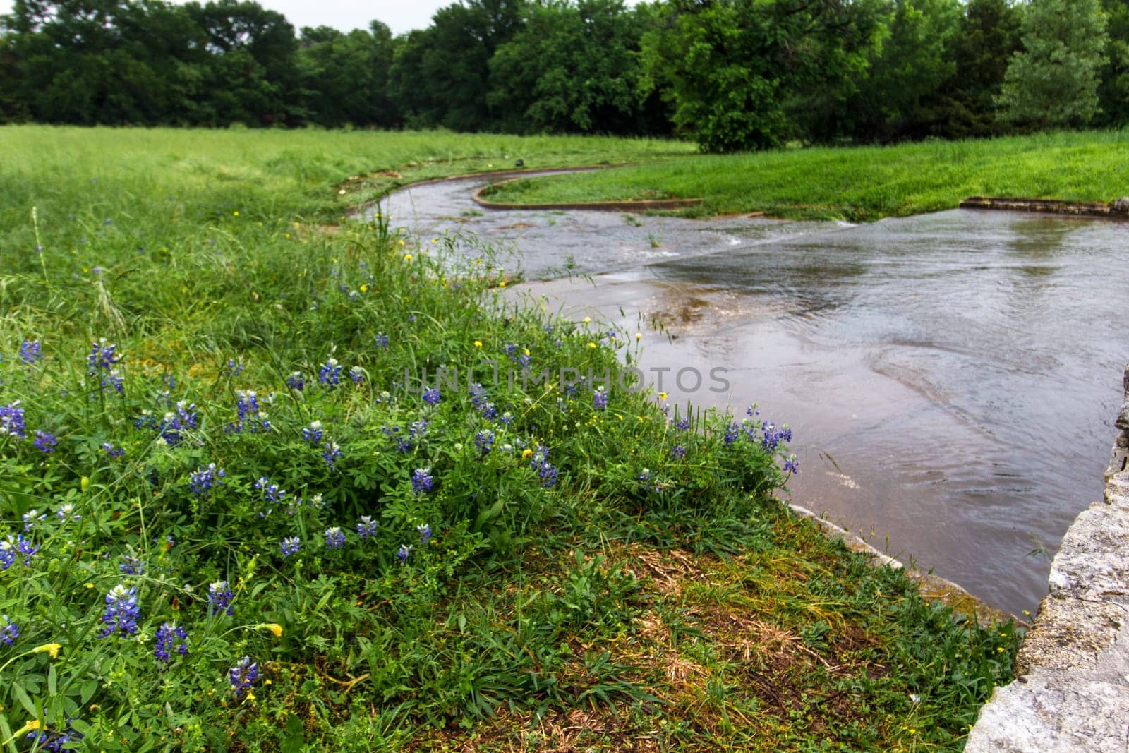 Views at Bluebonnet Park, Ennis, Texas