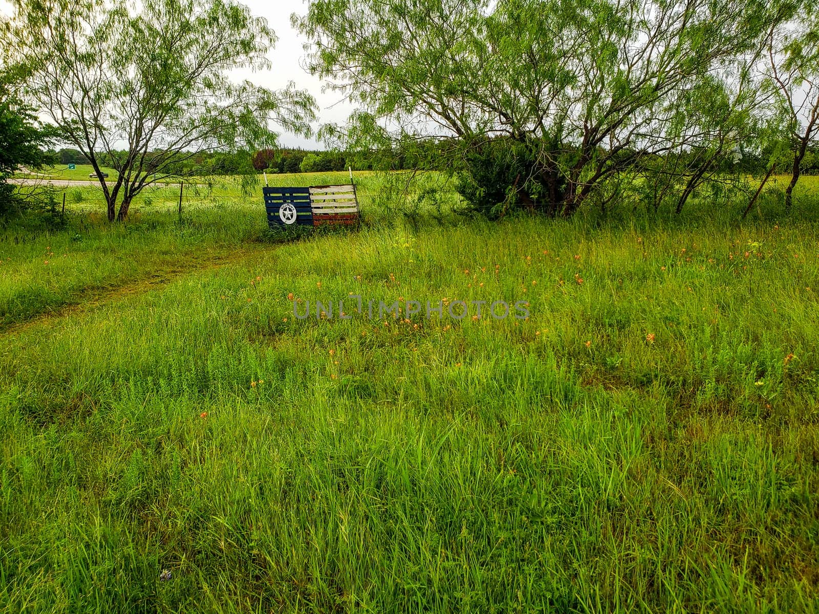 Views at Bluebonnet Park, Ennis, Texas