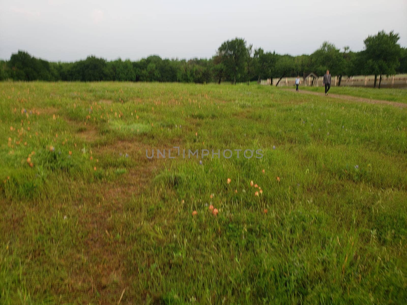 Views at Bluebonnet Park, Ennis, Texas
