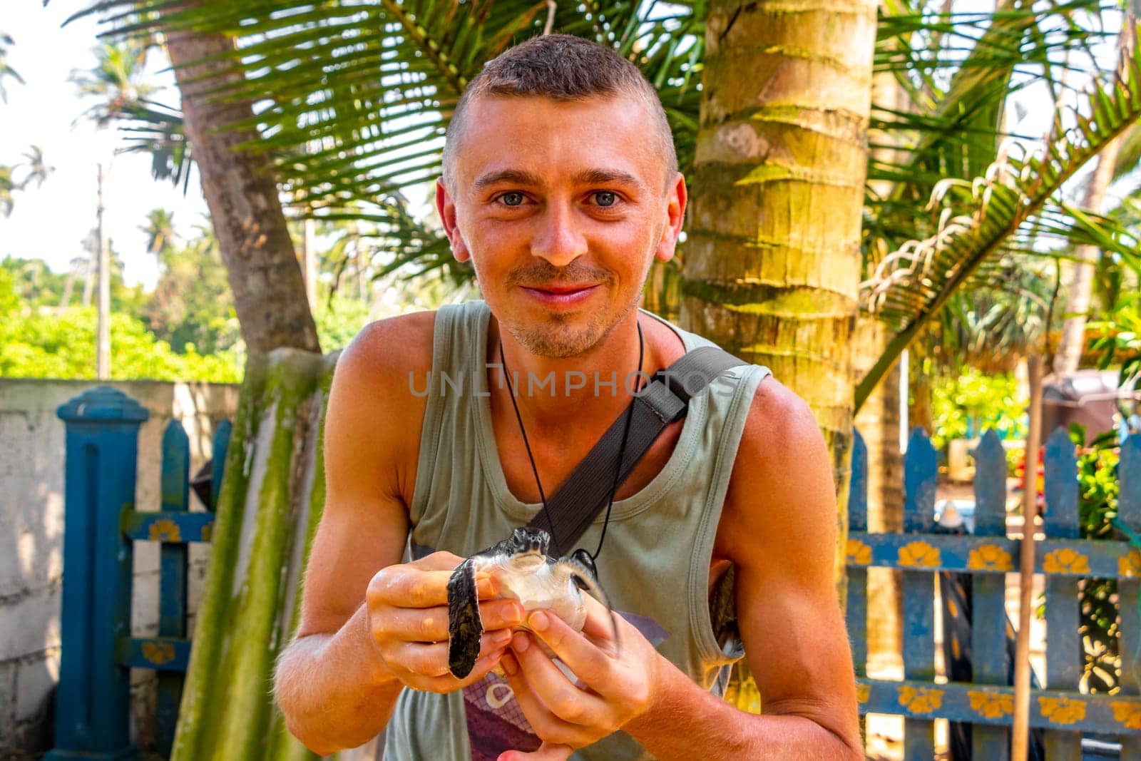 Man holds baby sea turtle hawksbill turtle loggerhead sea turtle. by Arkadij