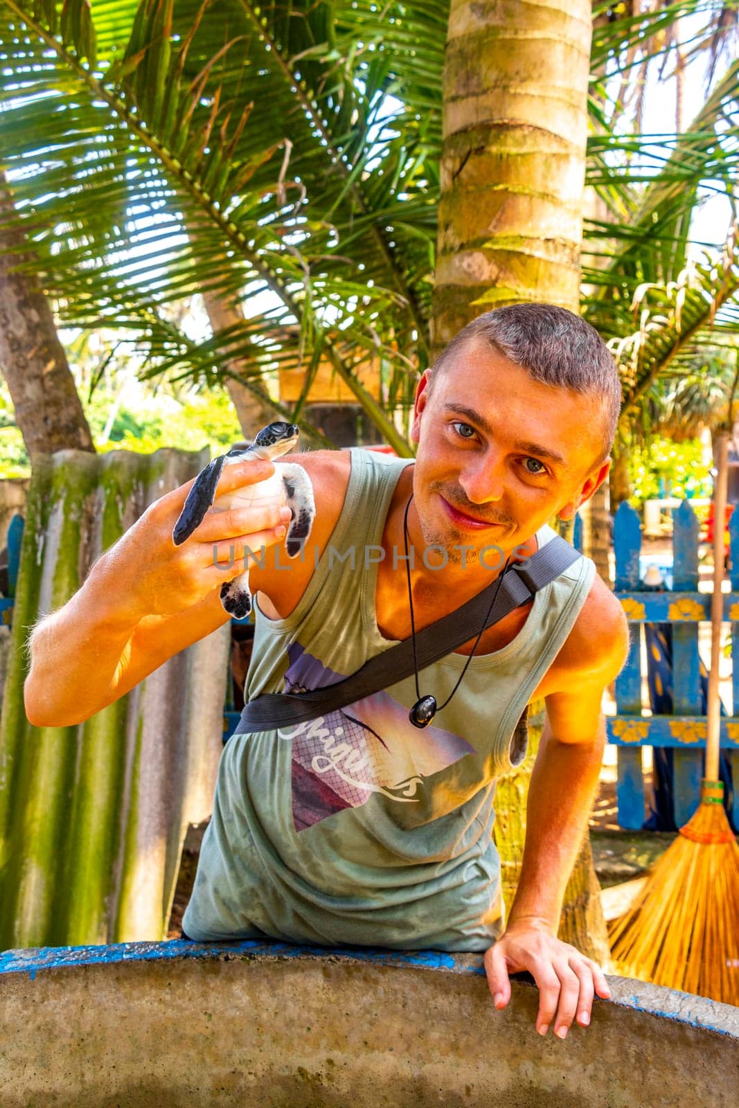 Man holds baby sea turtle hawksbill turtle loggerhead sea turtle. by Arkadij