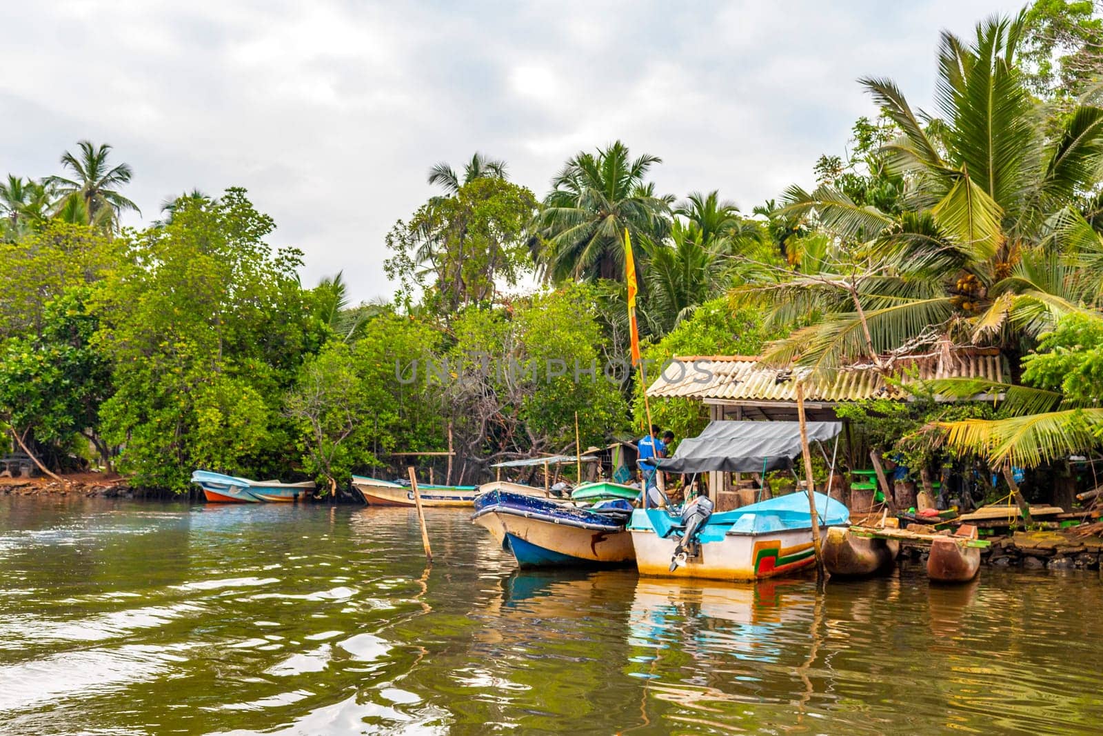 Boat safari through mangrove jungle Bentota Ganga River Bentota Beach Sri Lanka. by Arkadij