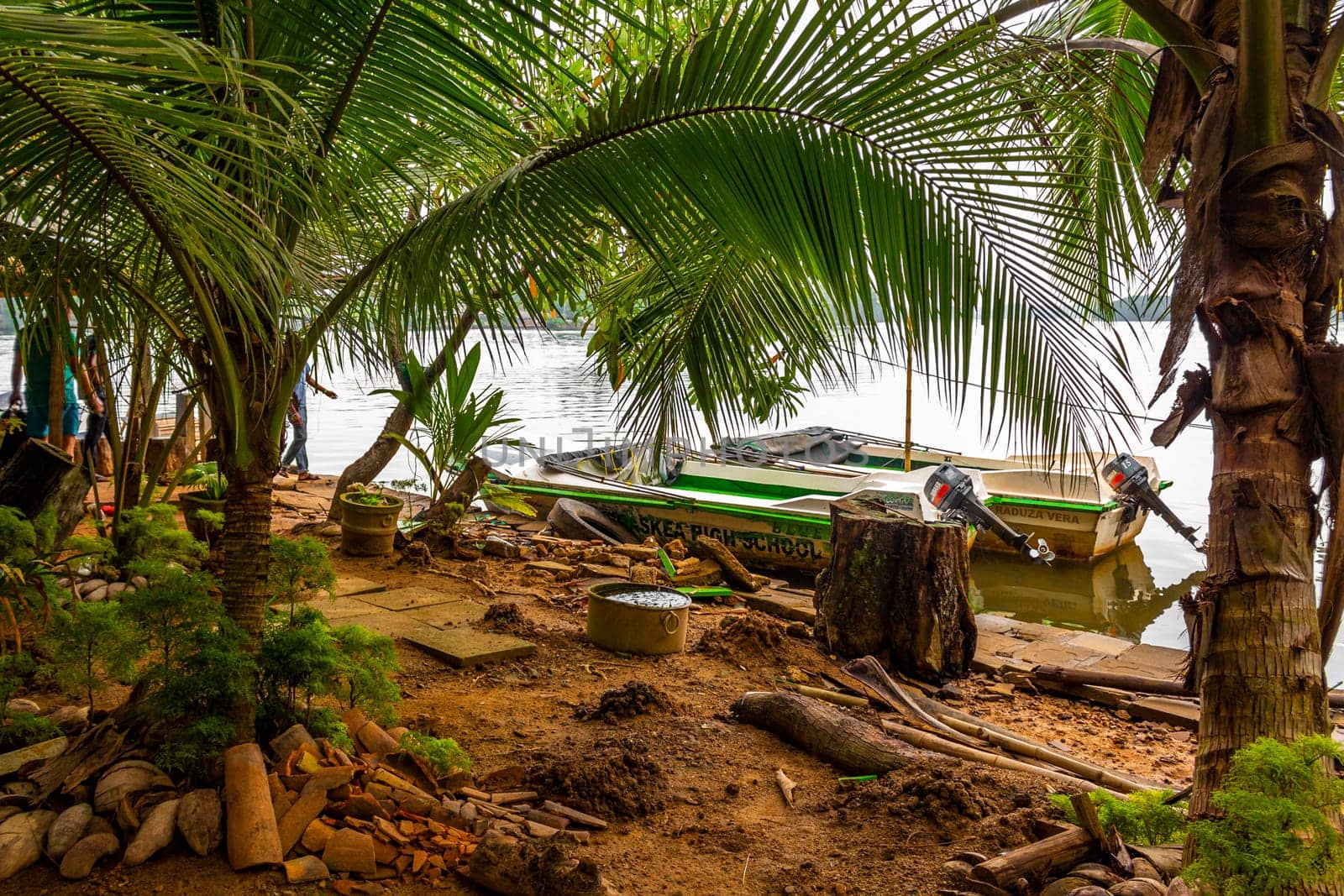 Boat safari trip jetty house boats through mangrove jungle forest in Bentota Ganga River Lake in Bentota Beach Galle District Southern Province Sri Lanka.