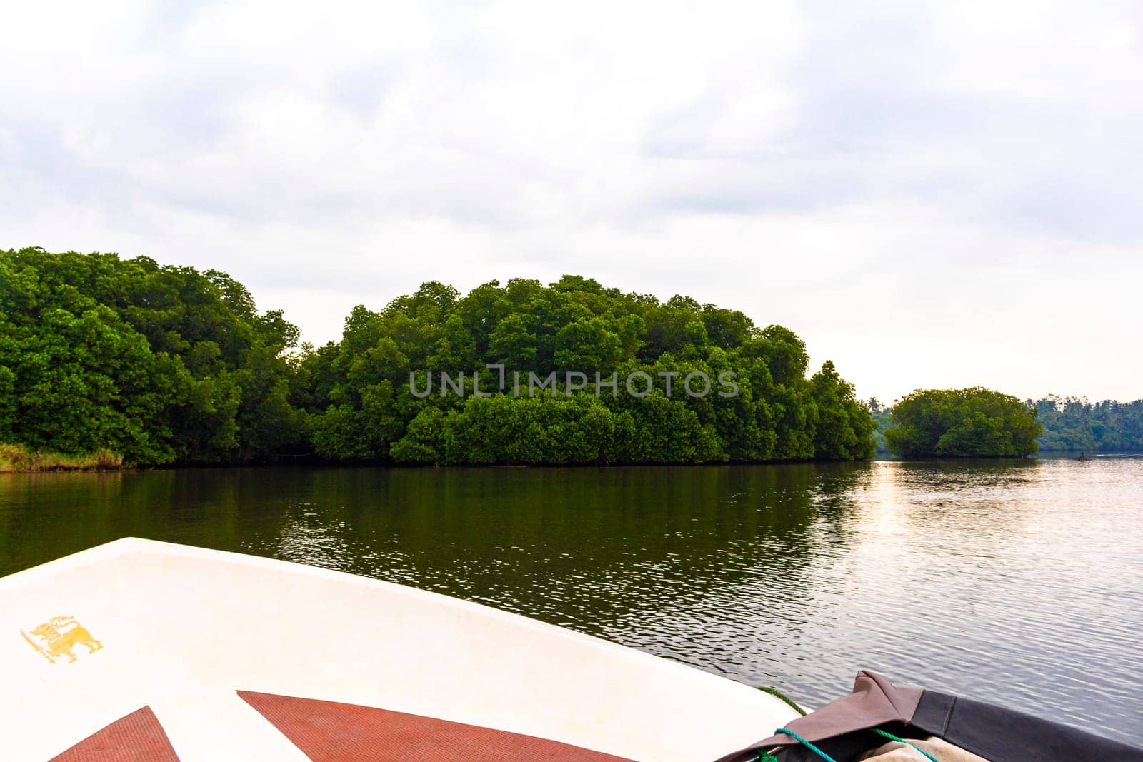 Boat safari trip through mangrove jungle forest in Bentota Ganga River Lake in Bentota Beach Galle District Southern Province Sri Lanka.