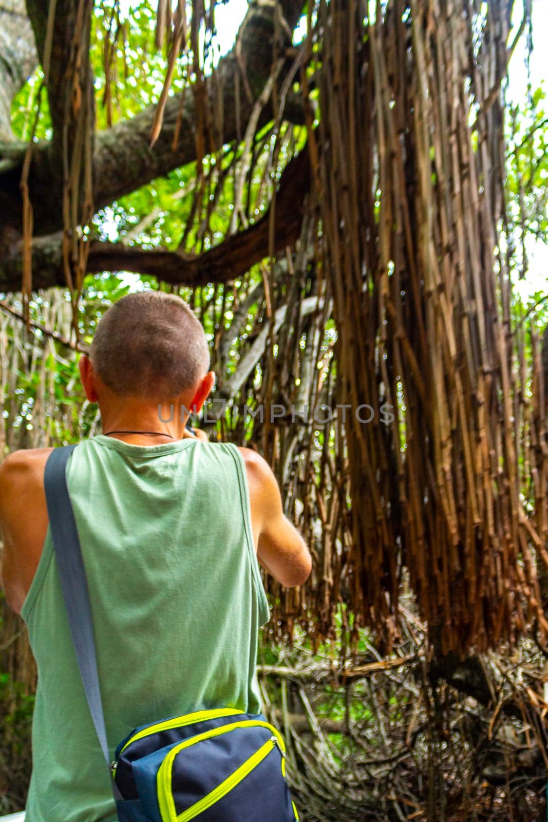 Boat safari mangrove jungle man male tourist River Bentota Beach Sri Lanka. by Arkadij