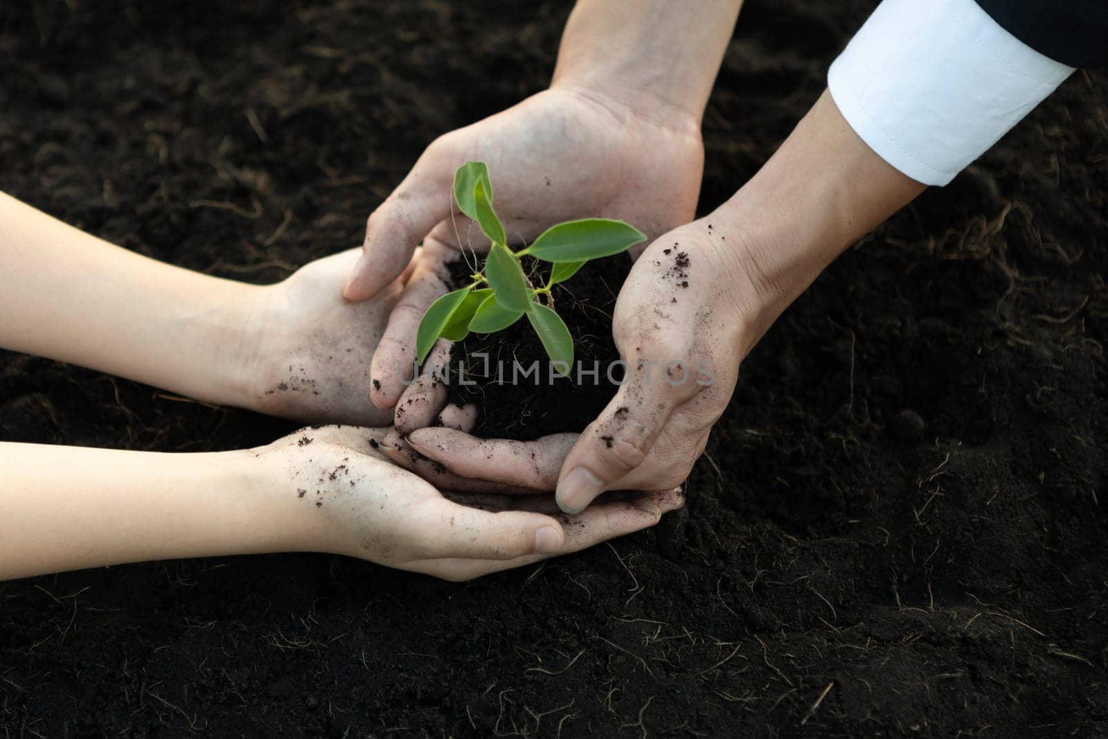 Businessman and child grow and nurture plant on fertilized soil concept. Gyre by biancoblue
