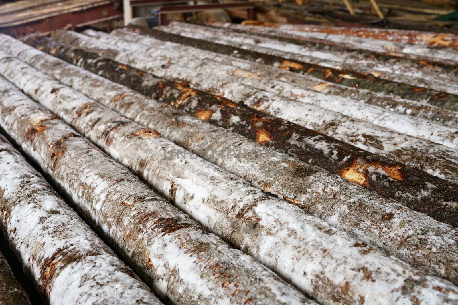 Snow-covered logs lie in row on sawmill, close-up