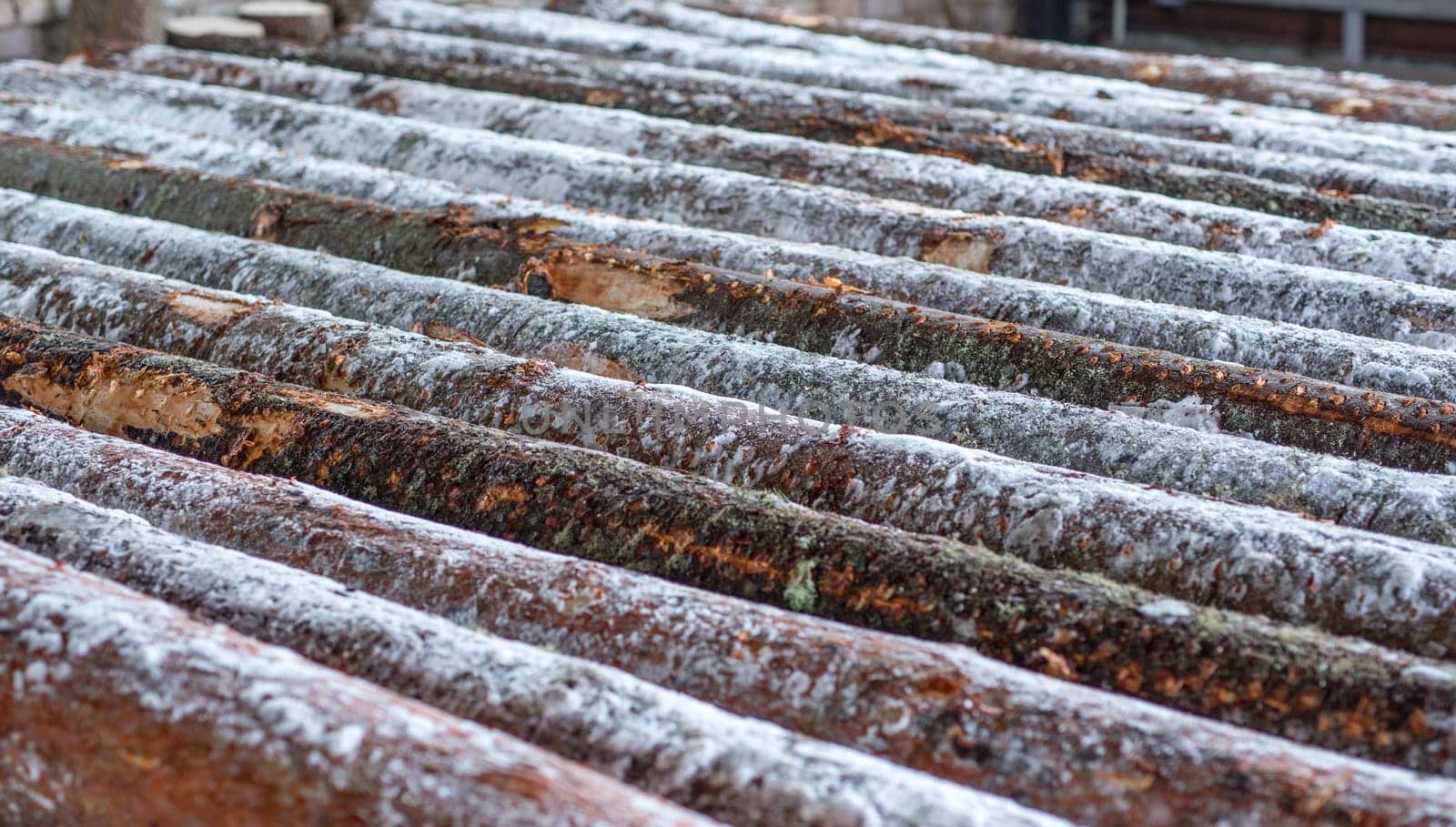 Image of many snow-covered logs at sawmill