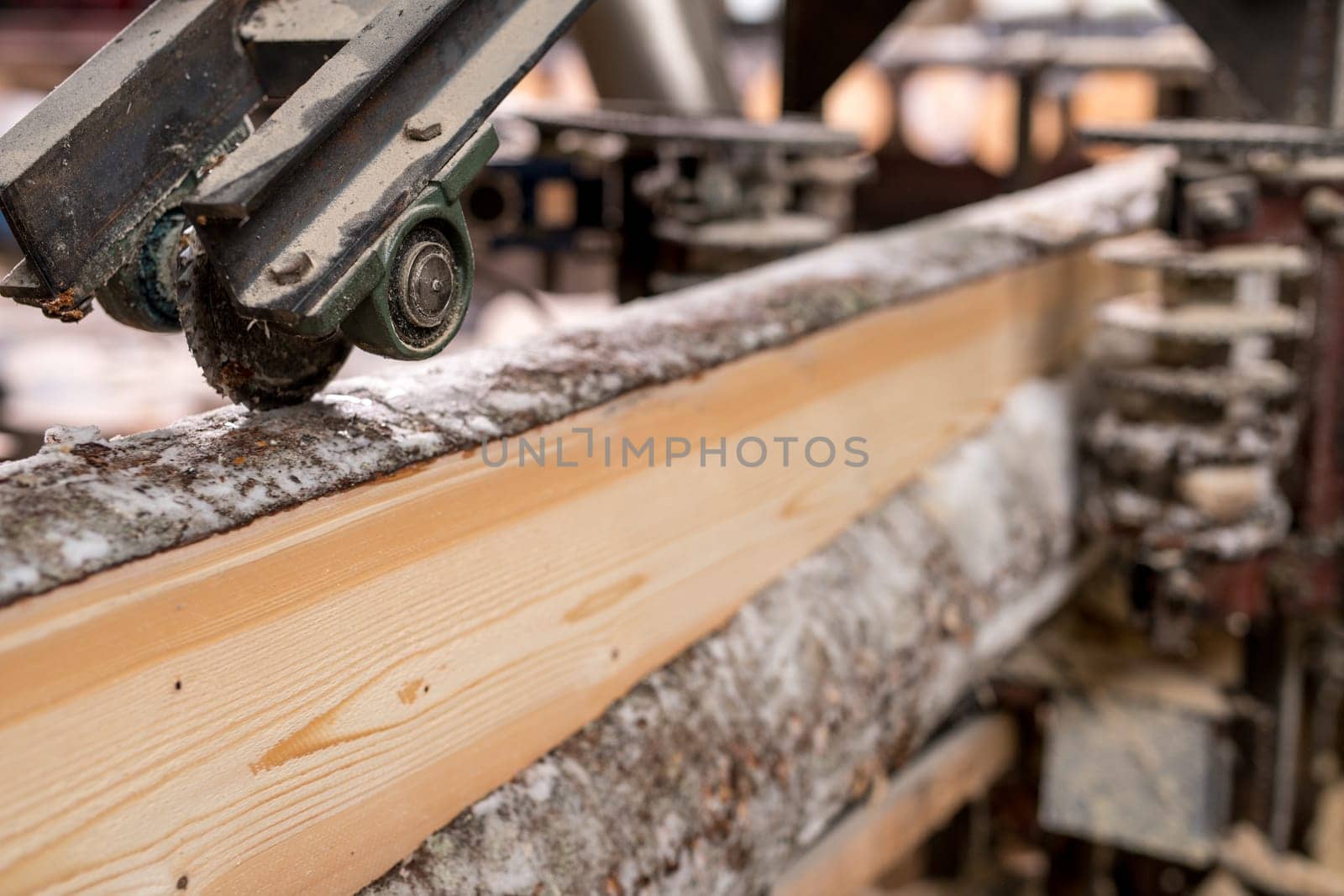 At sawmill. Image of cut wood using machine, close-up