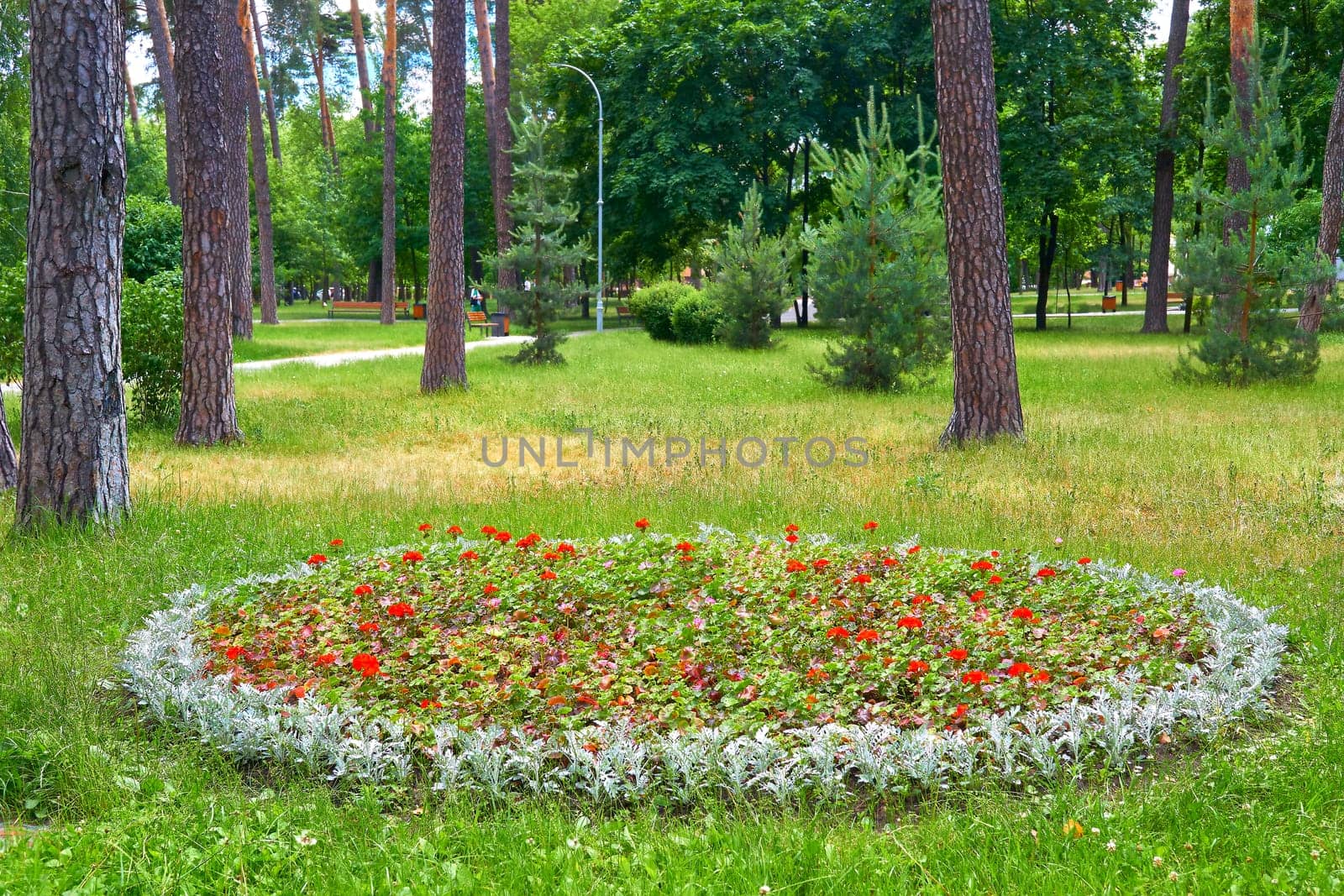 Gardening,landscaping. Flower bed on the lawn in a summer public park by jovani68