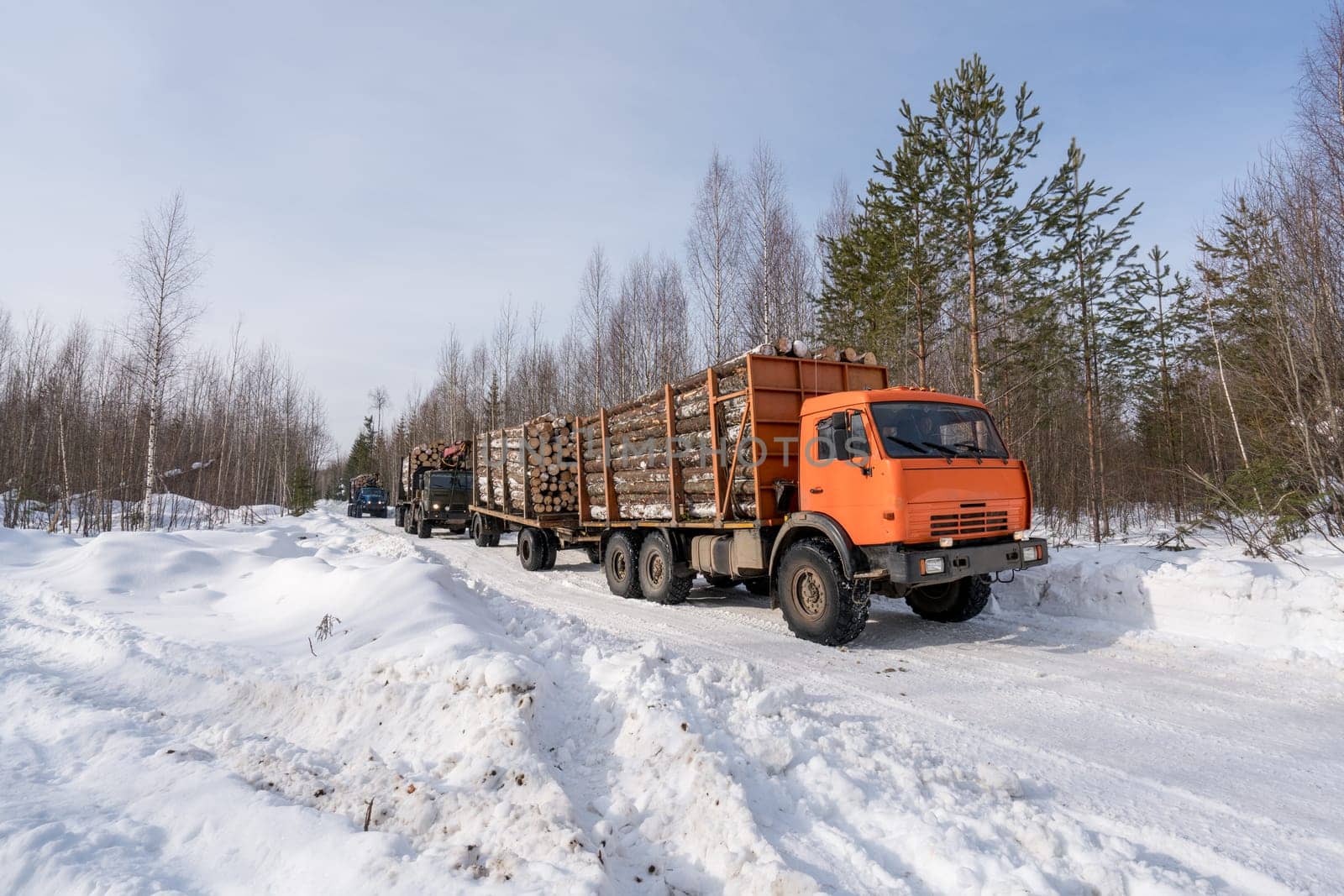 Trucks loaded with timber move out of woods in winter