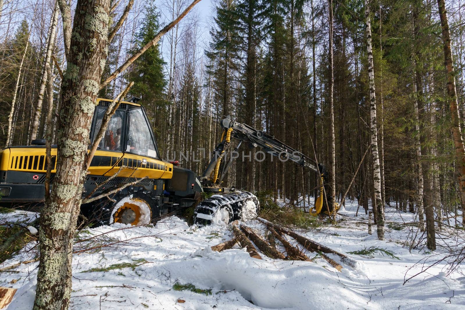 Woodworking in forest. Image of logger works by rivertime