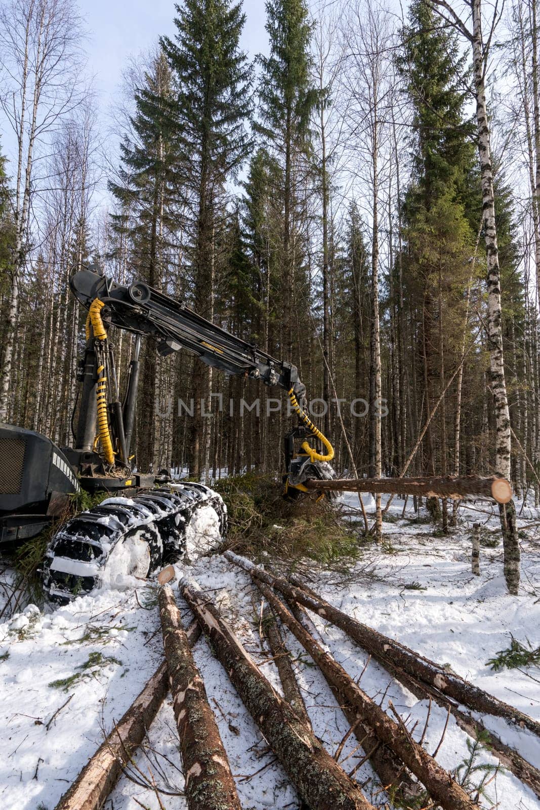 Log loader cutting tree in winter forest by rivertime