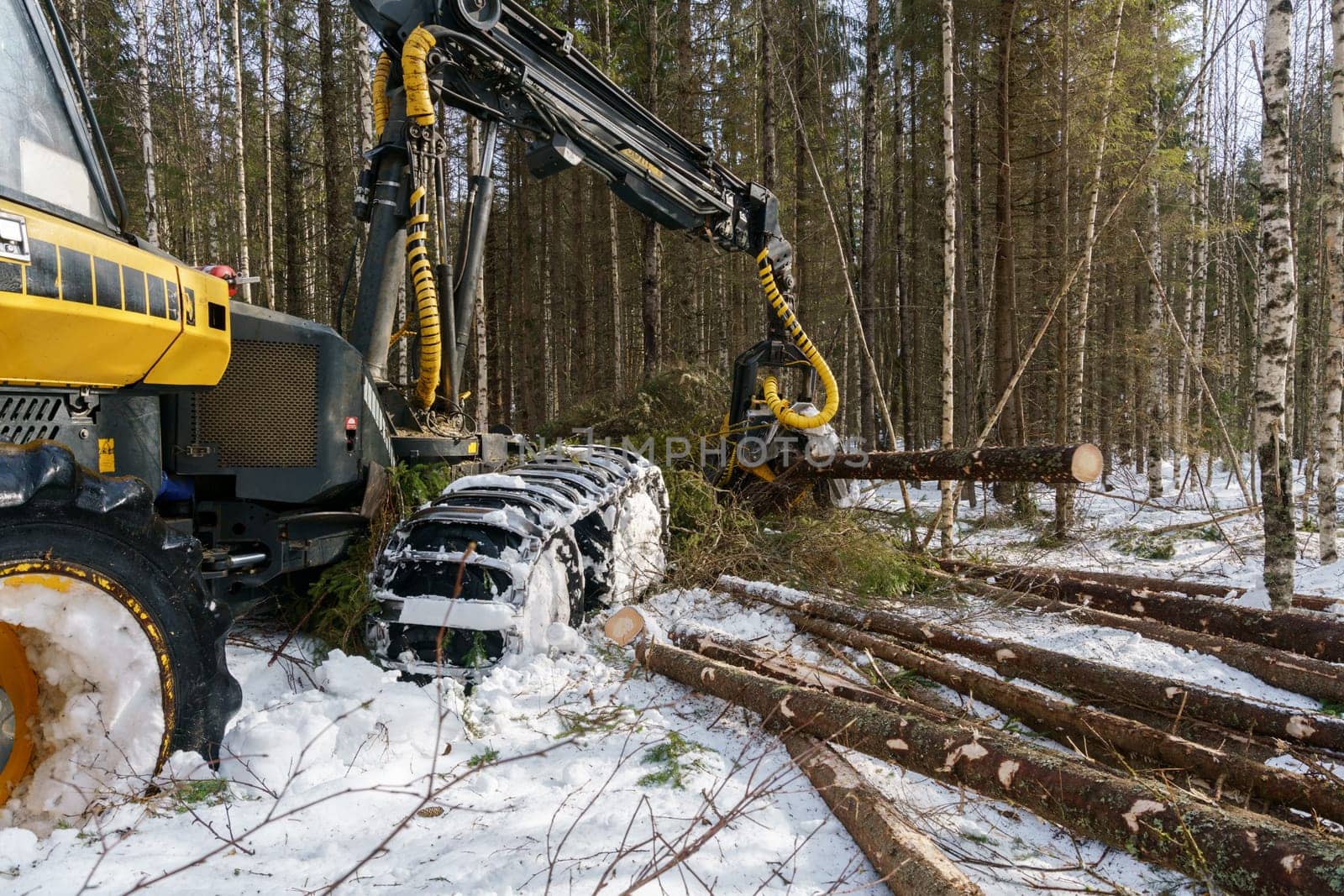 Image of log loader cut down trees in winter forest